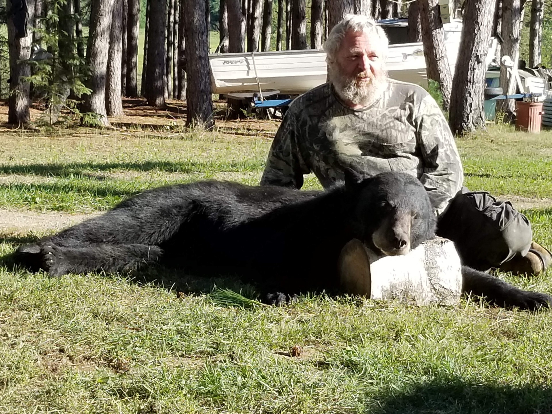 Bear North Outfitters's image