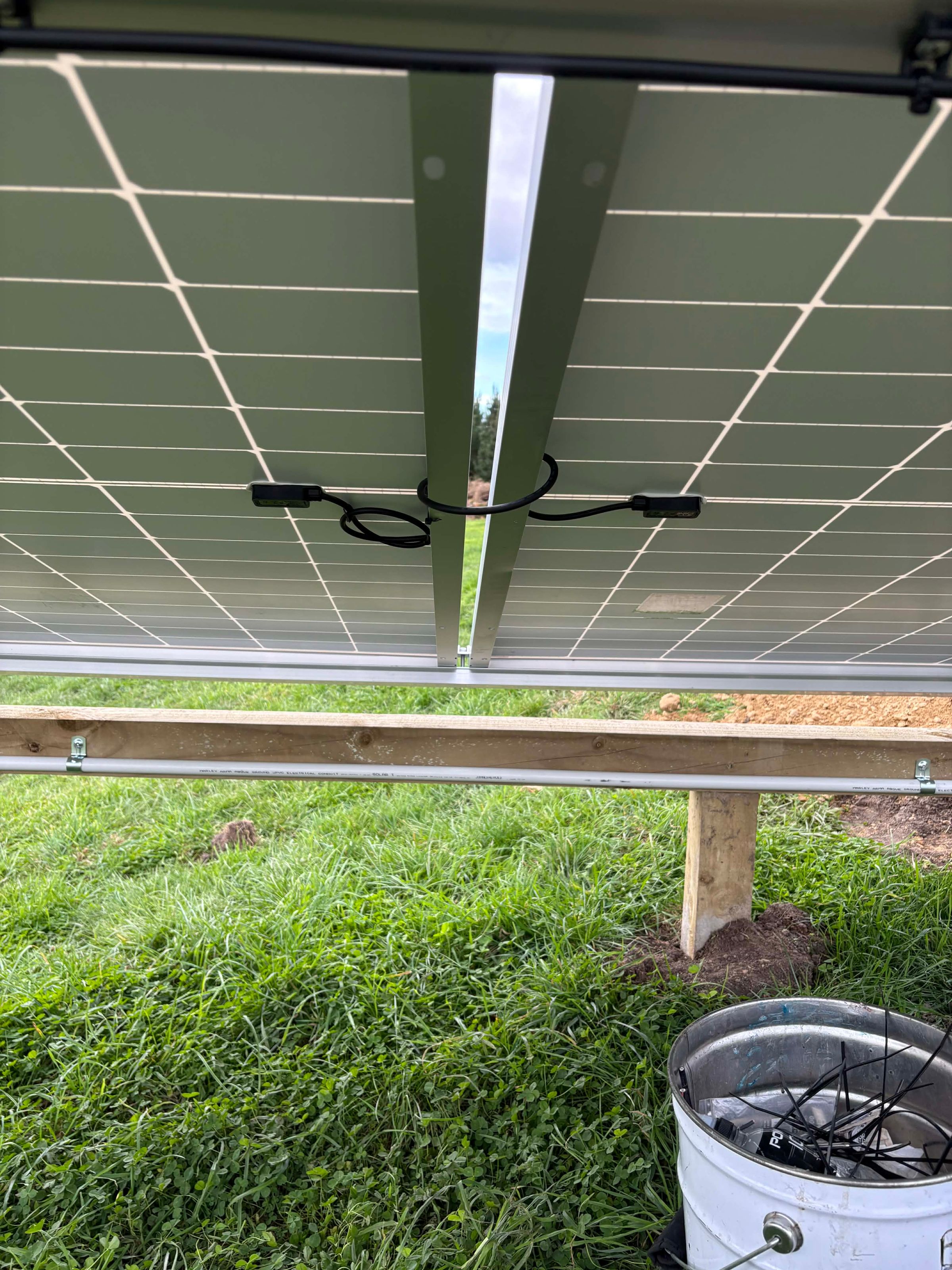 Intellect Electrical's image