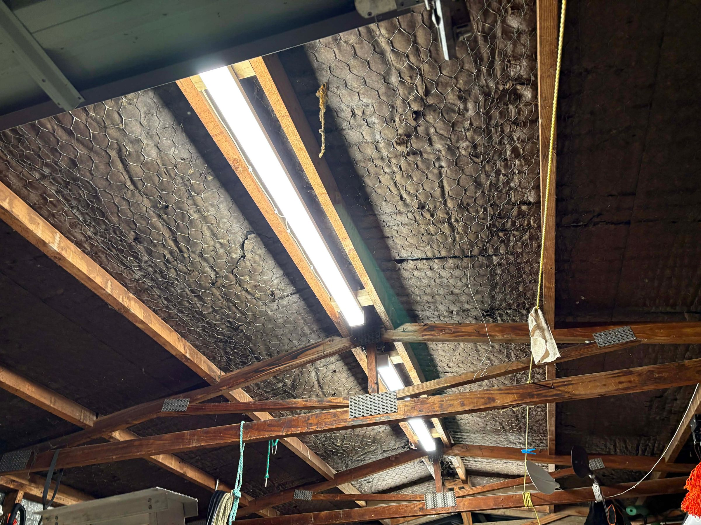 Intellect Electrical's image