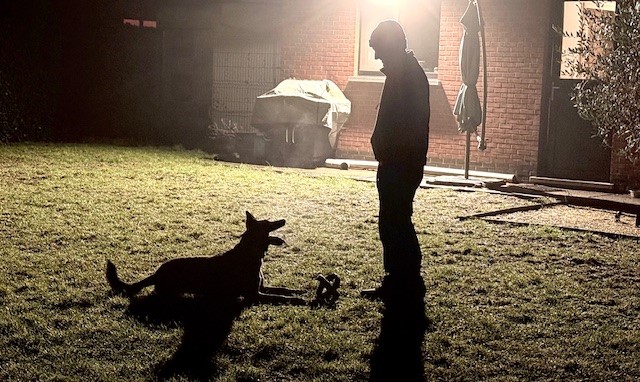 4 Smart Paws - Hondentrainer en uitlaatservice's image