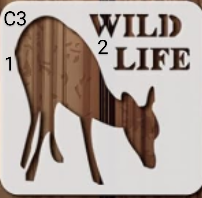 Design C3 choice 1 or 2