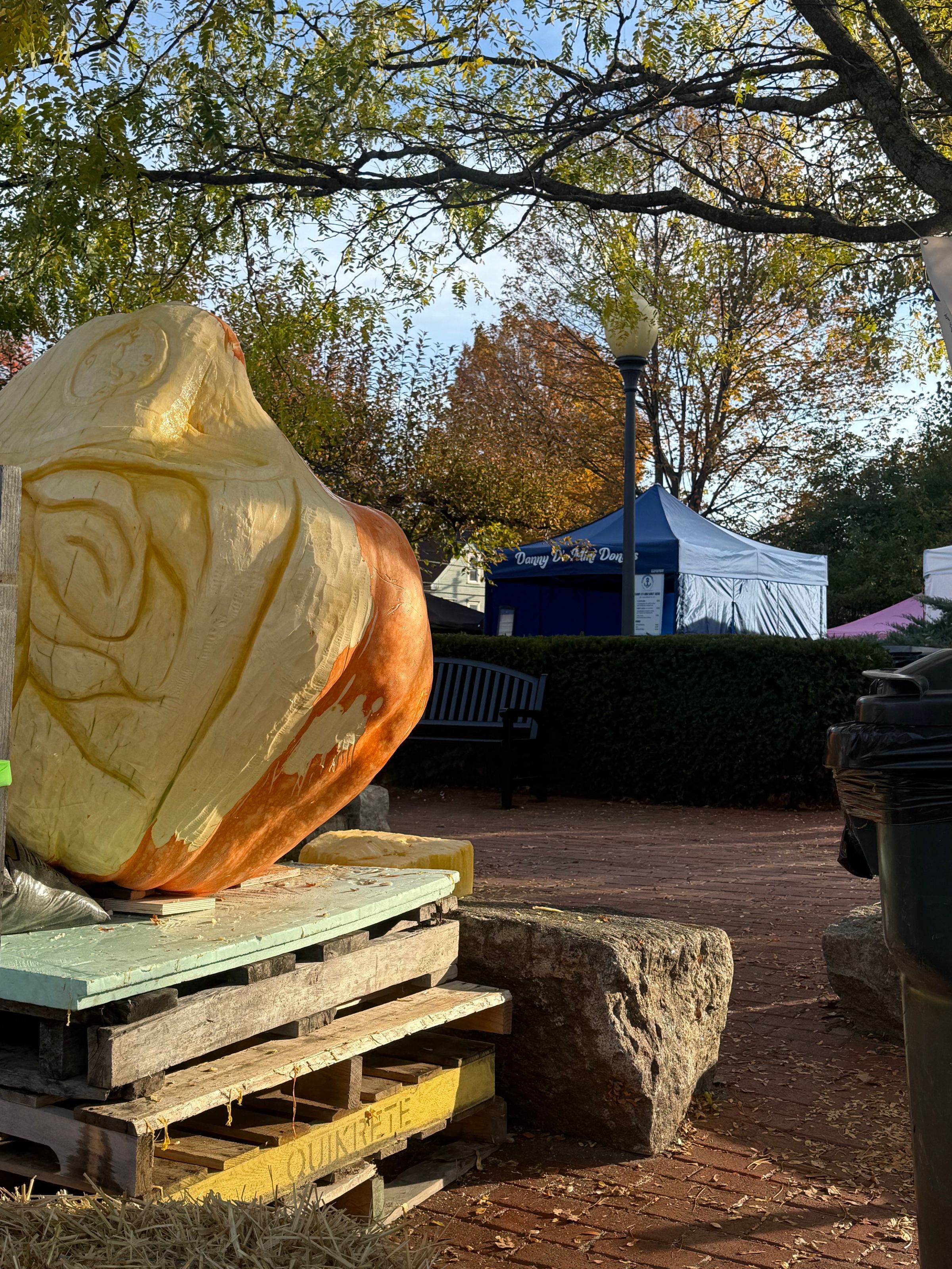 DANNY D'S MINI DONUTS's image