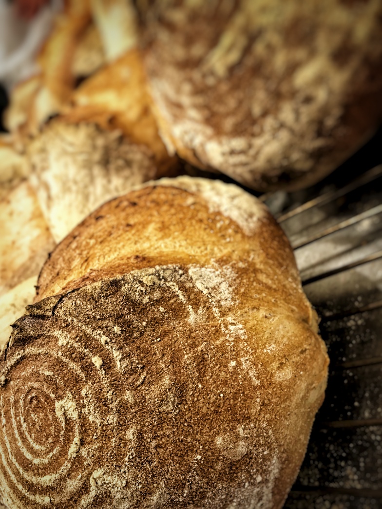 Tone 'n Taste's image