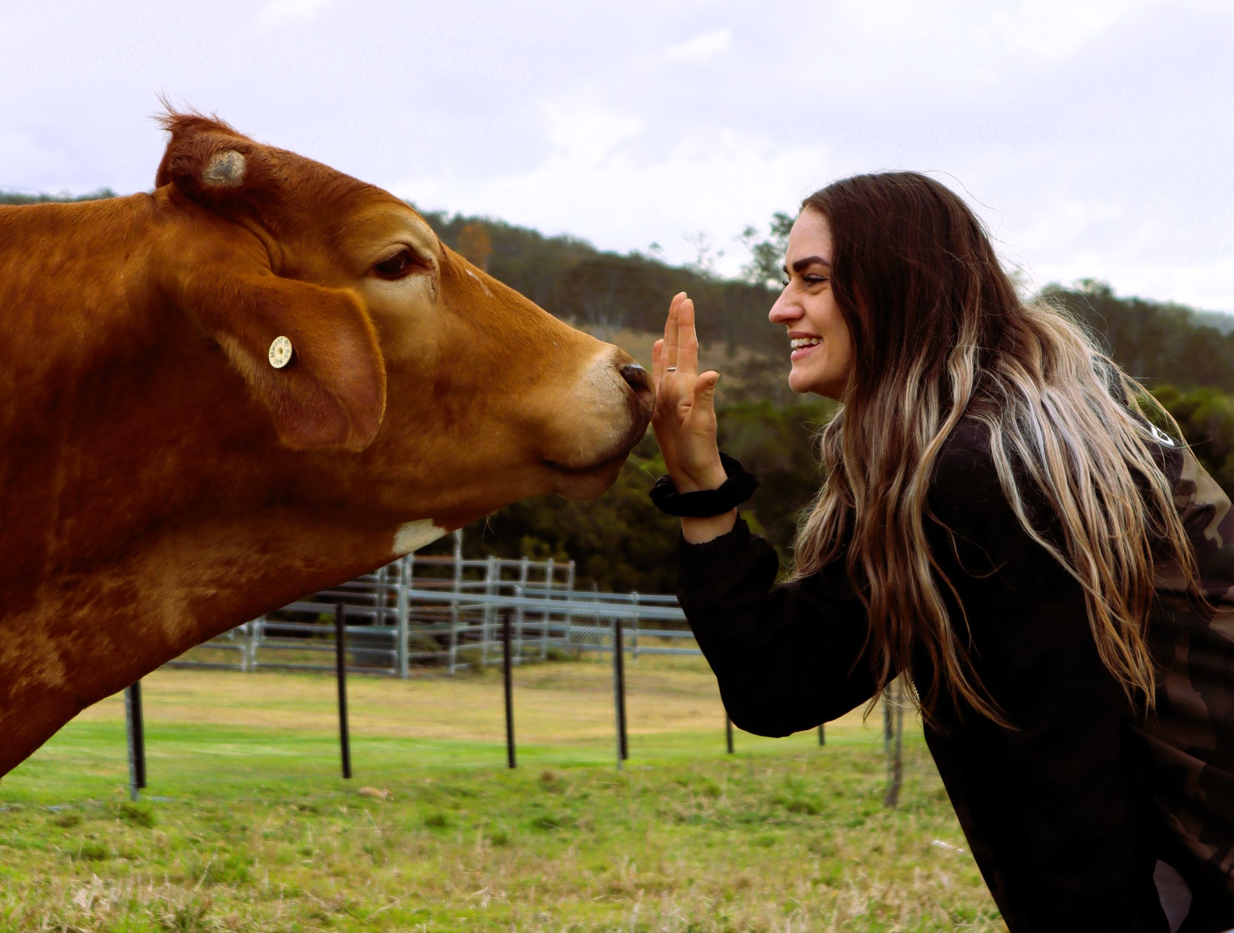 Caring Konnections, where care and connection unite's image