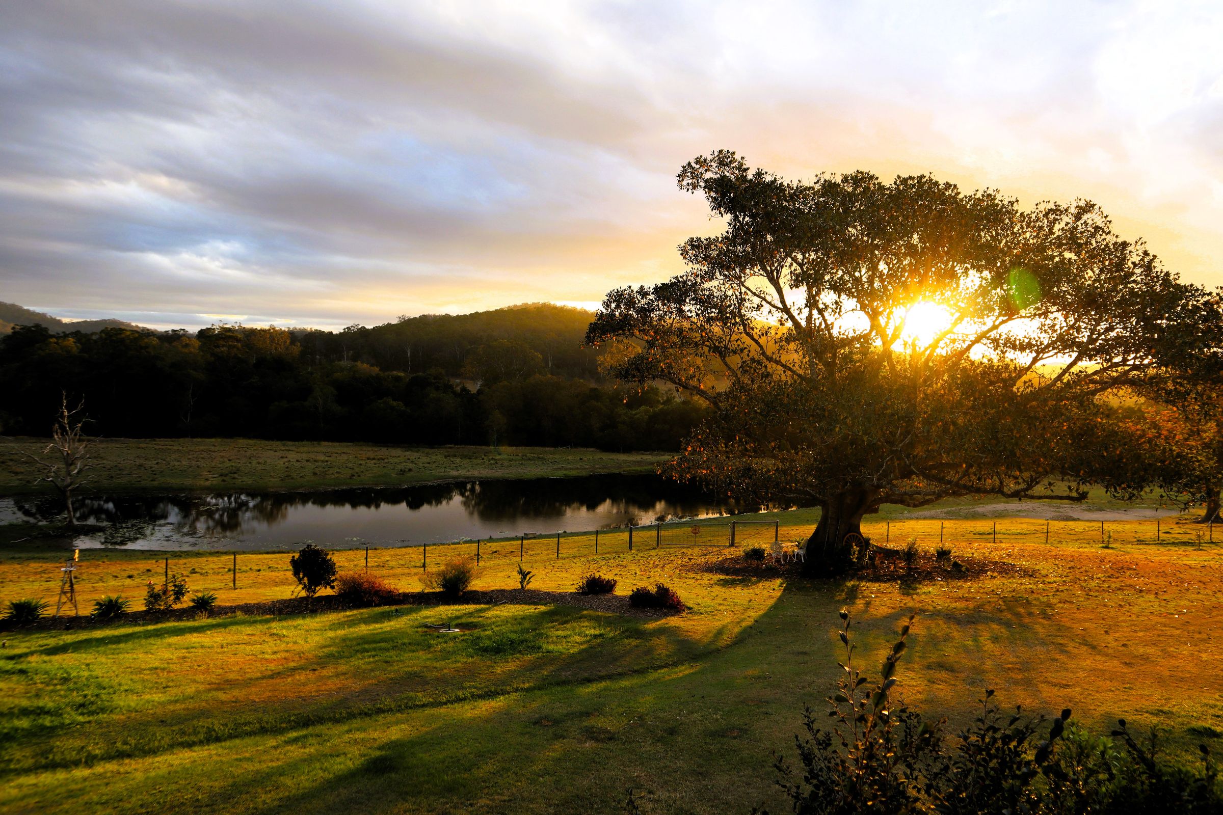 Caring Konnections, where care and connection unite's image