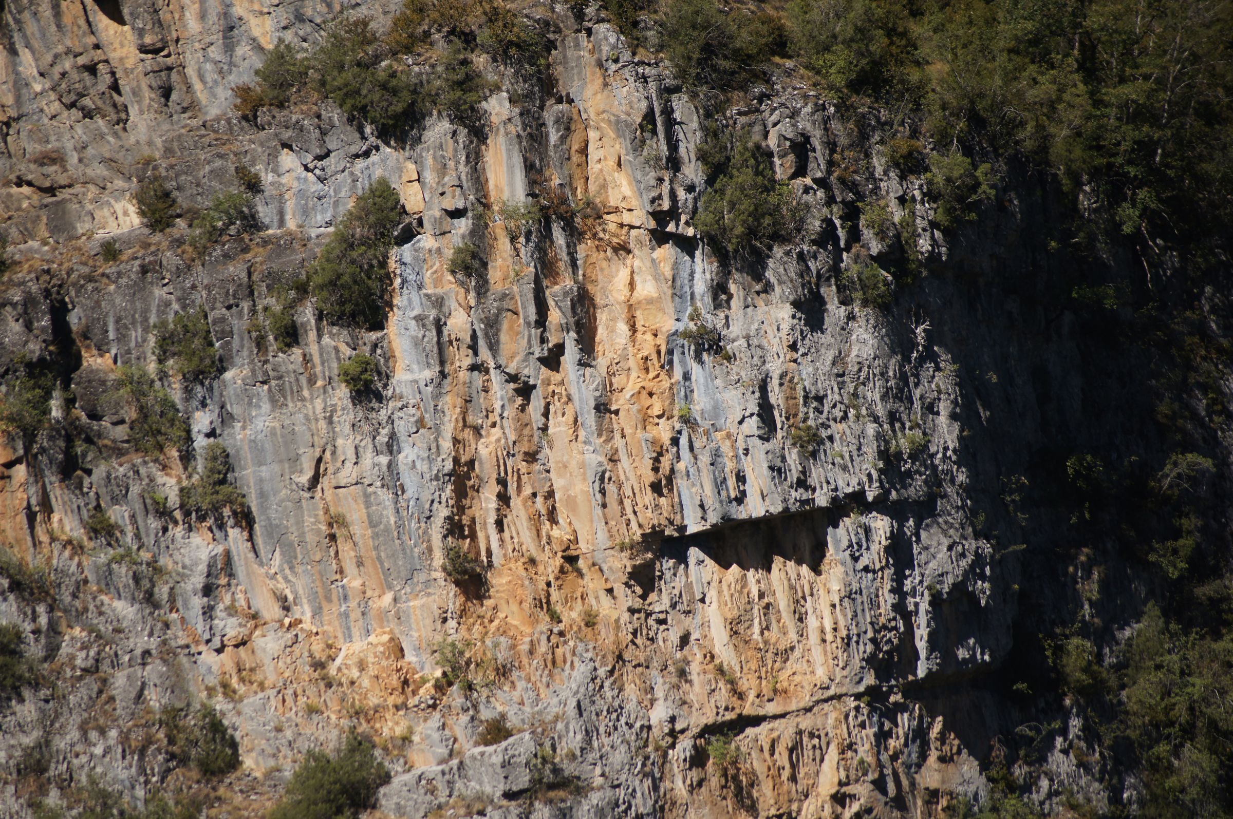 Bandwidth Exploration & Field Development Consultants's image