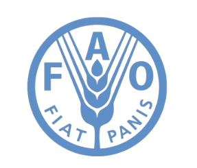 PILMUN BOGOTÁ's image