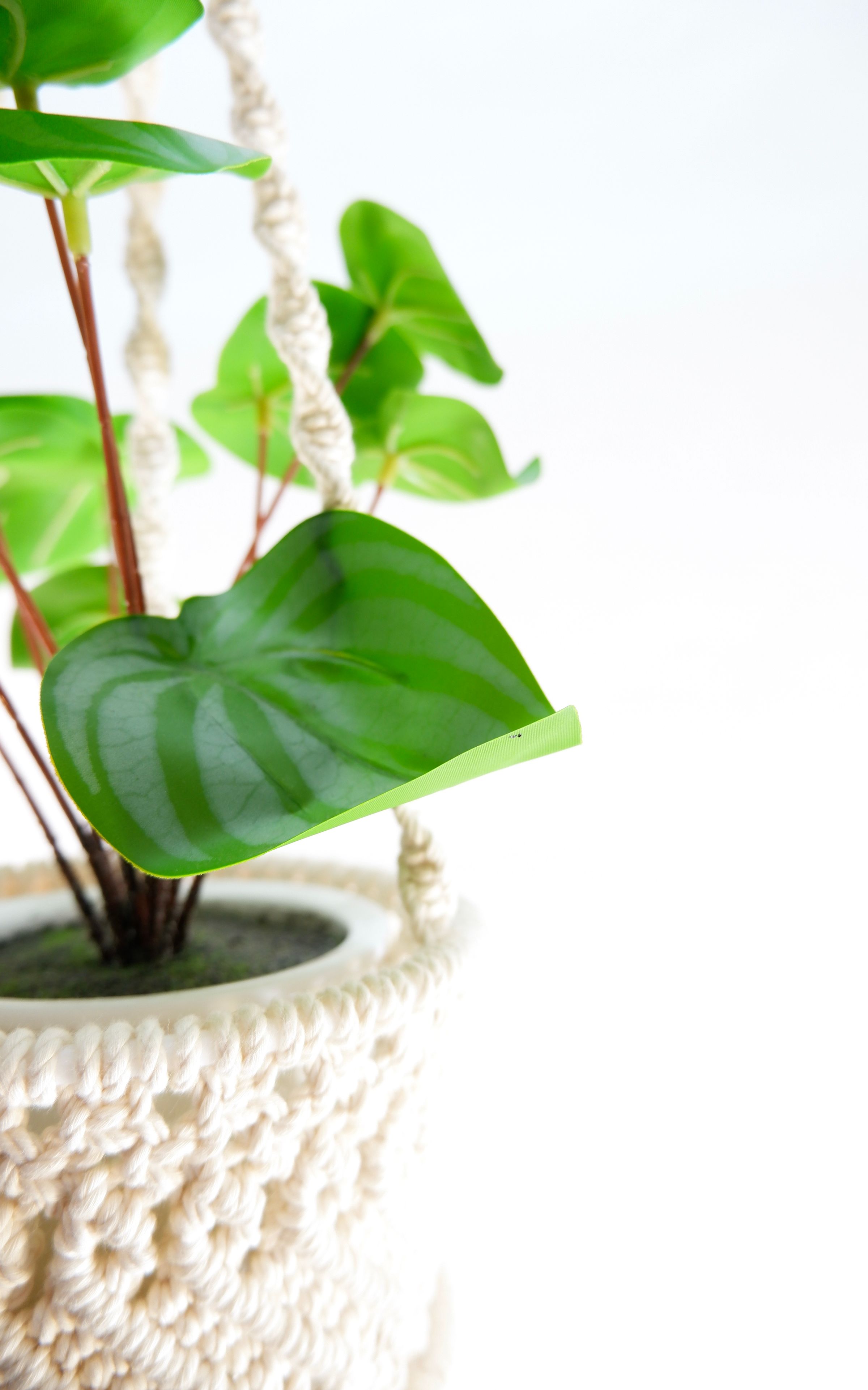 Artes & Nós
   Atelier's image