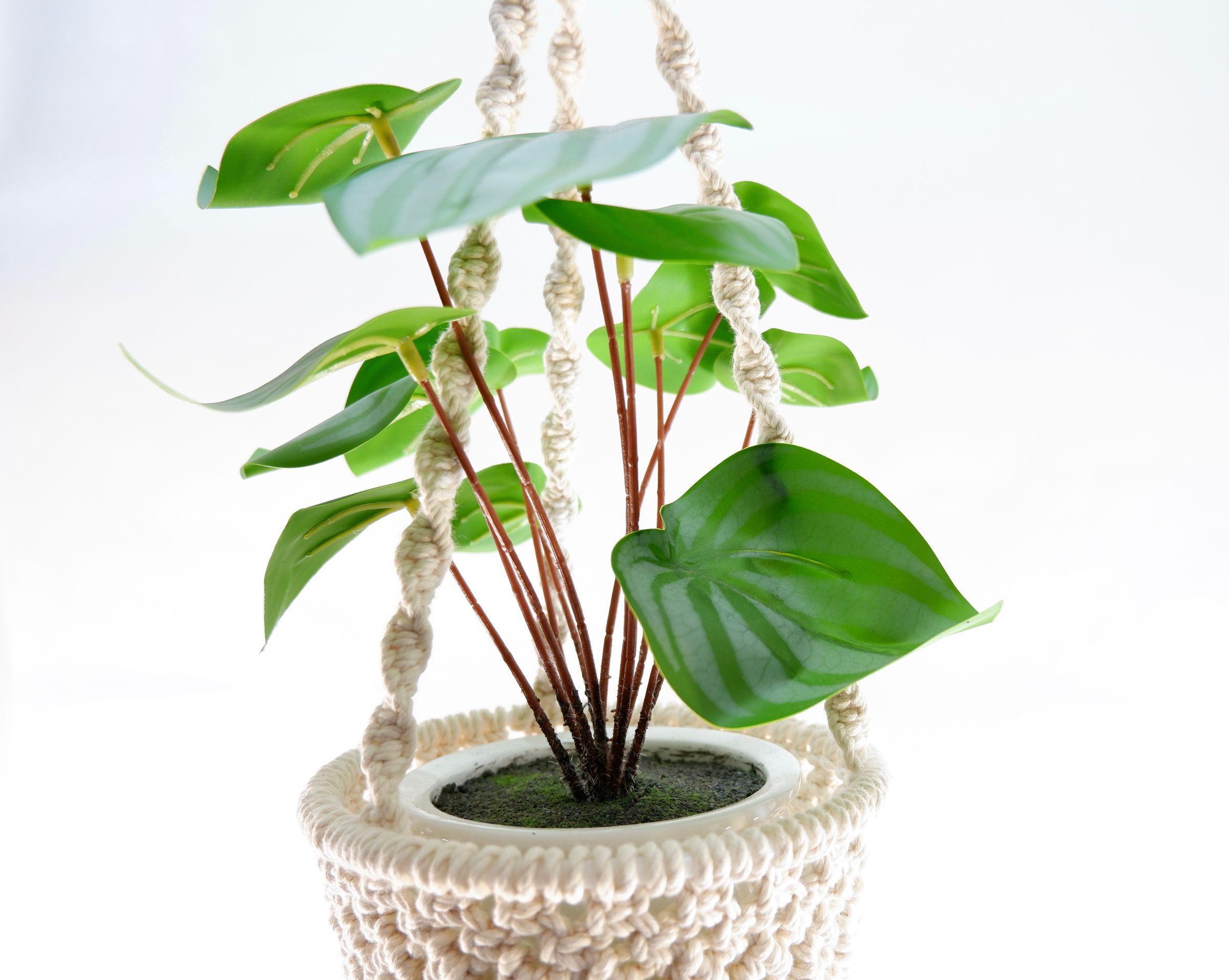 Artes & Nós
   Atelier's image