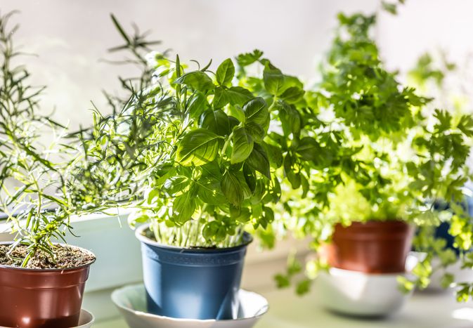 Williams Lawn & Garden, LLC's image