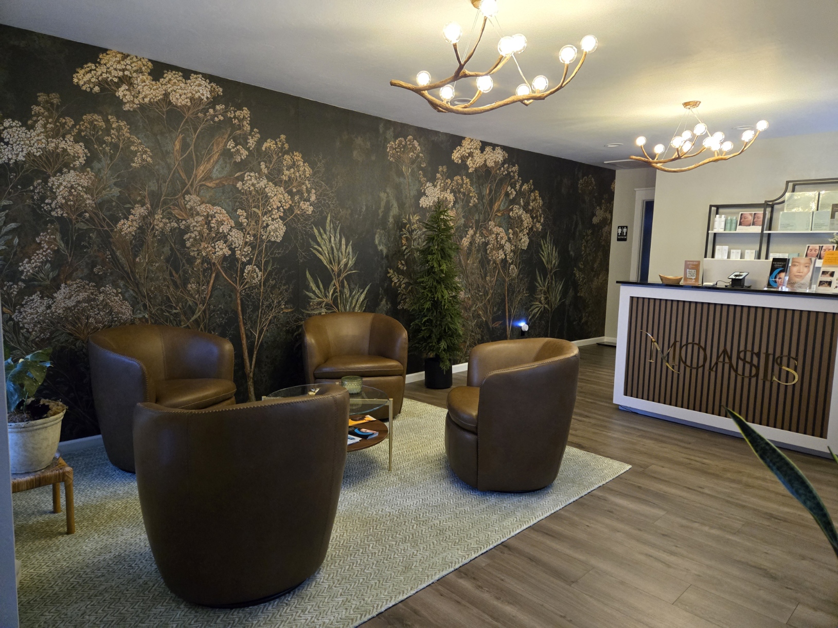 Radiant Reflections Aesthetics's image