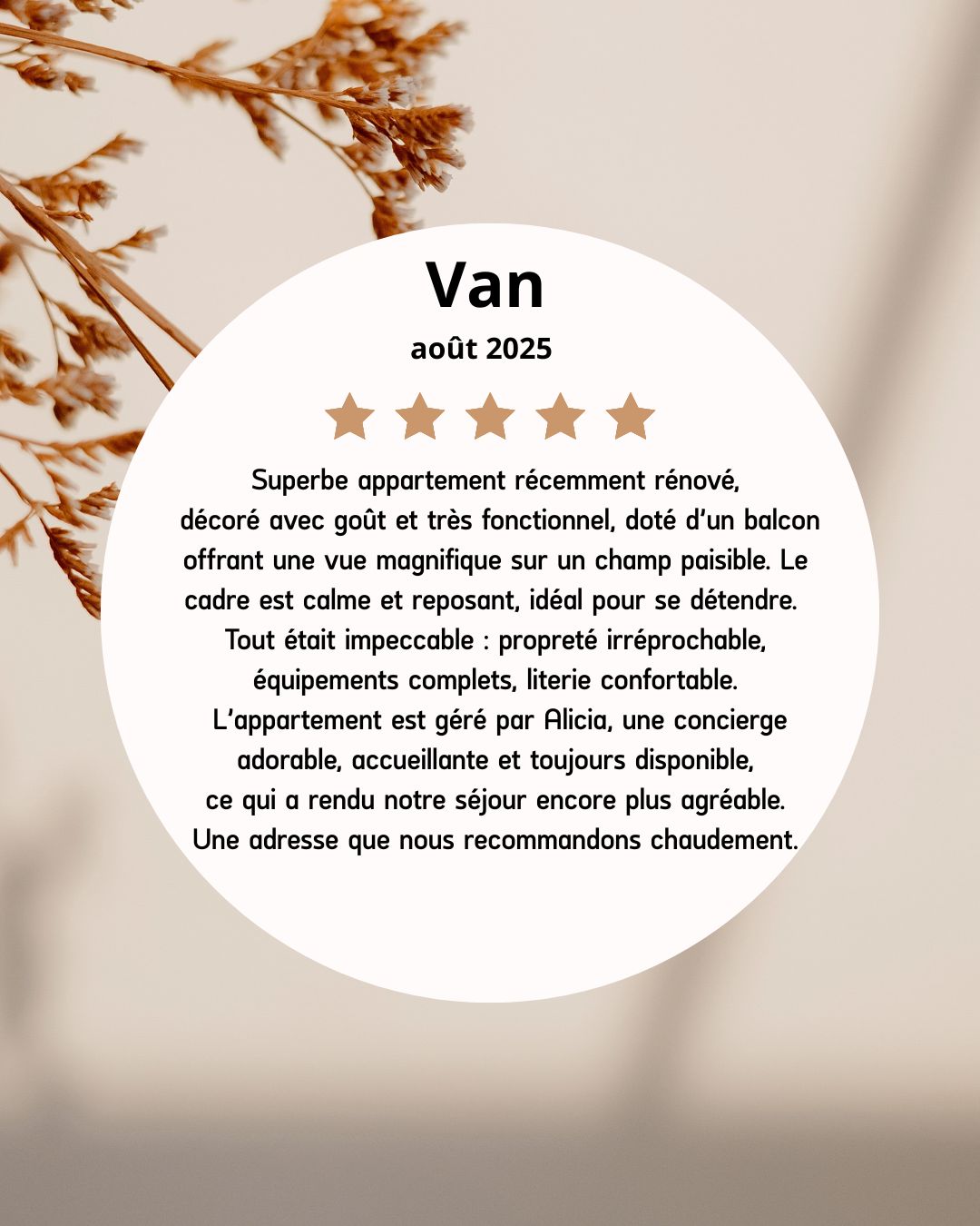 am-conciergerie.fr's image