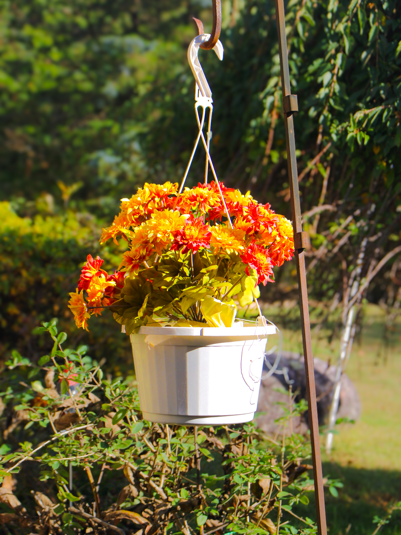 photosbypandey's image