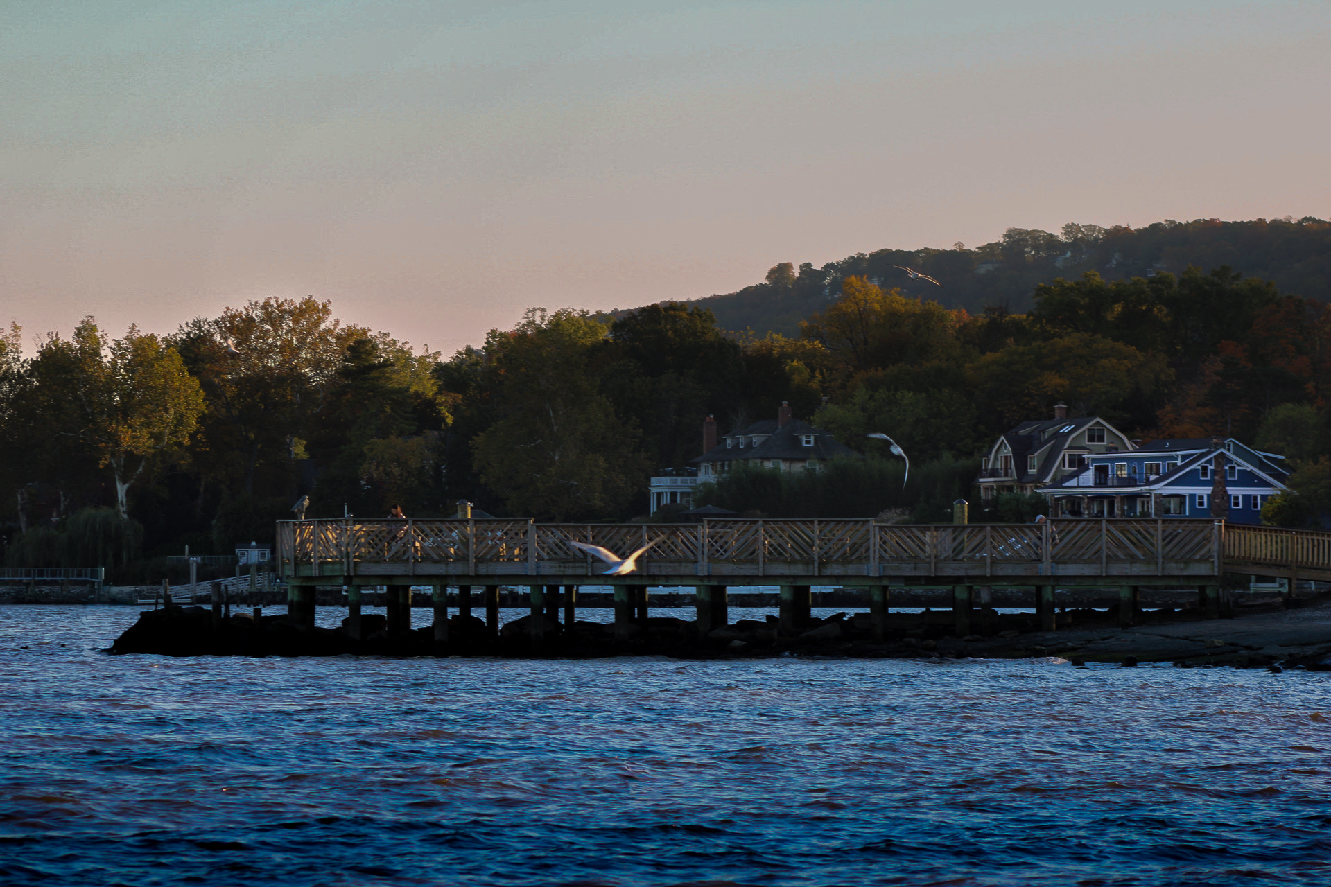 photosbypandey's image