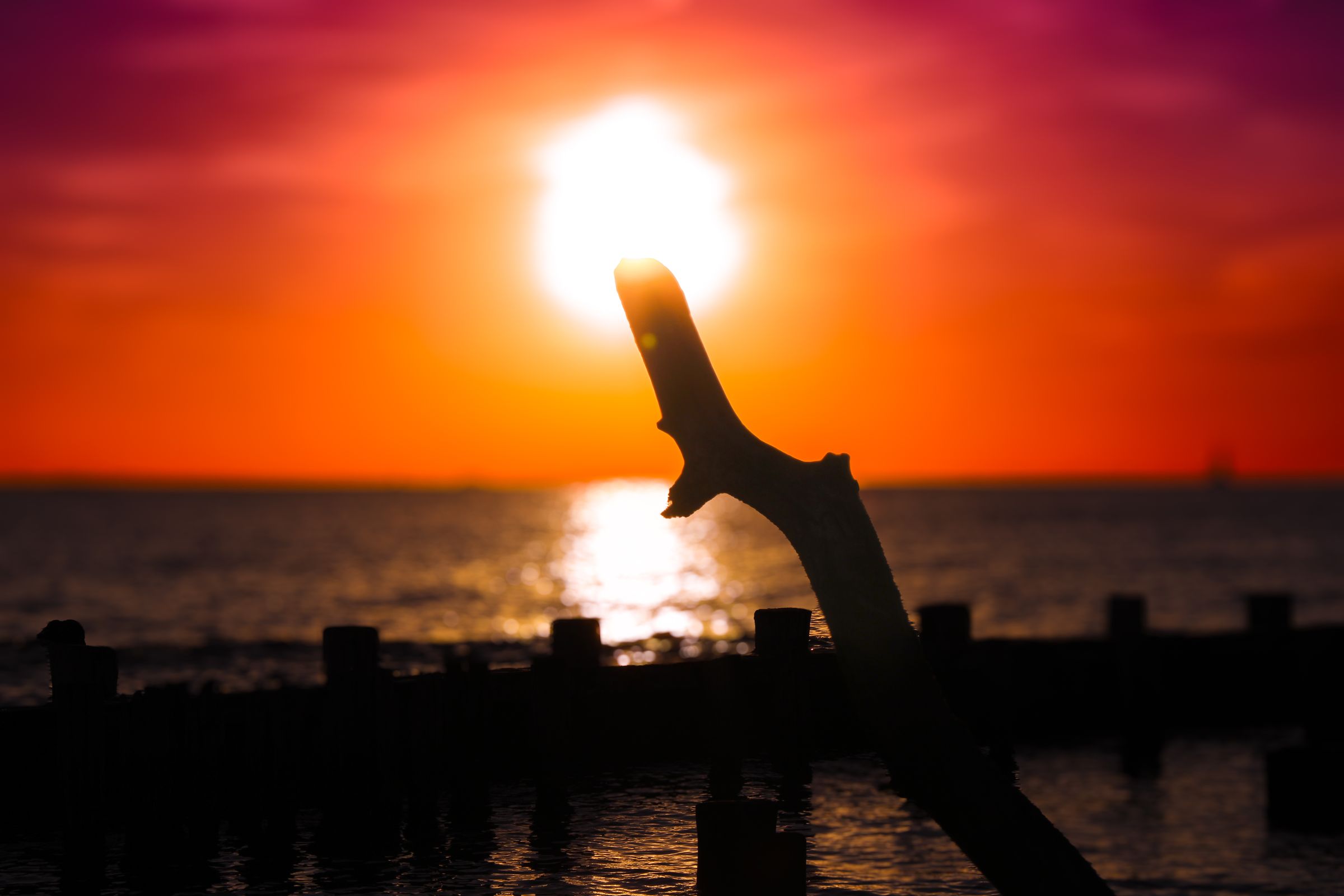 photosbypandey's image