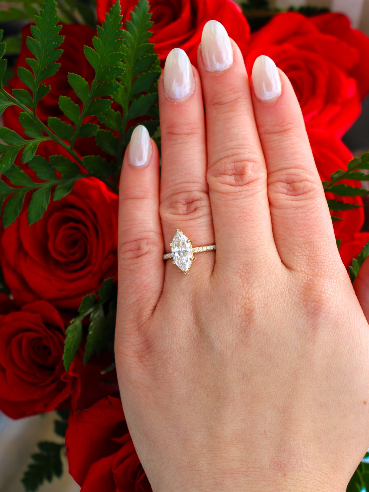 photosbypandey's image