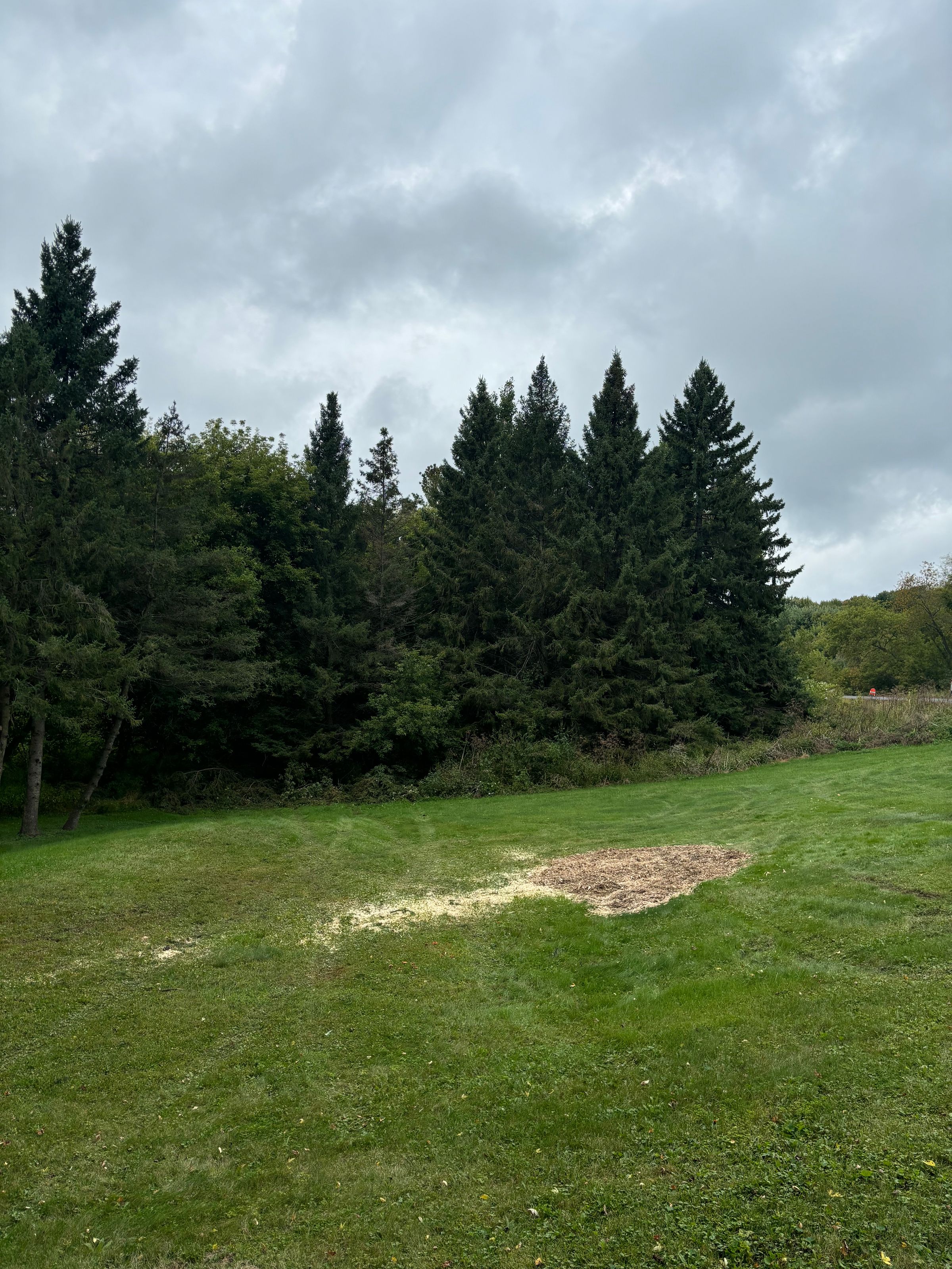Top Notch Tree Removal's image