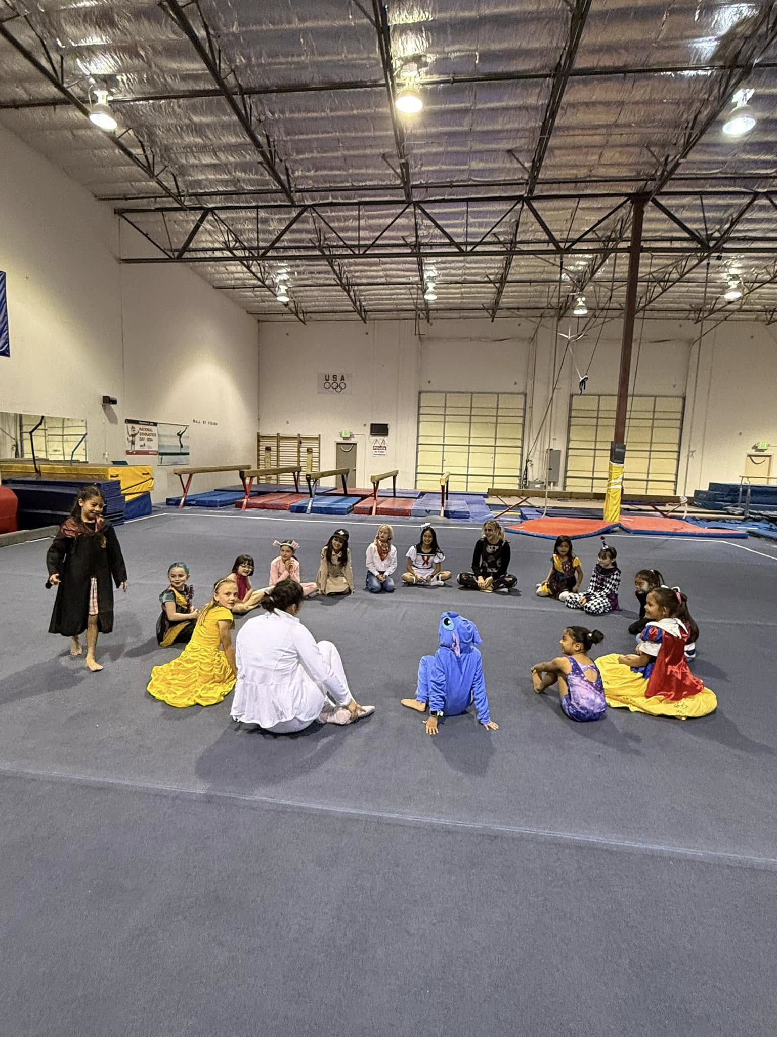 Support Deltchev Gymnastics | Booster Club Sponsorship's image