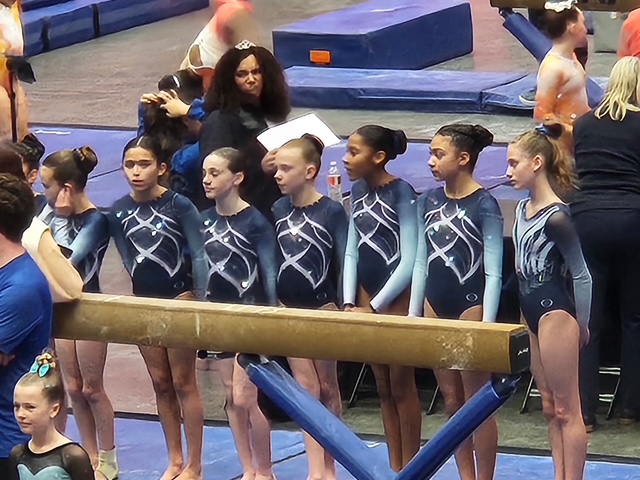 Support Deltchev Gymnastics | Booster Club Sponsorship's image