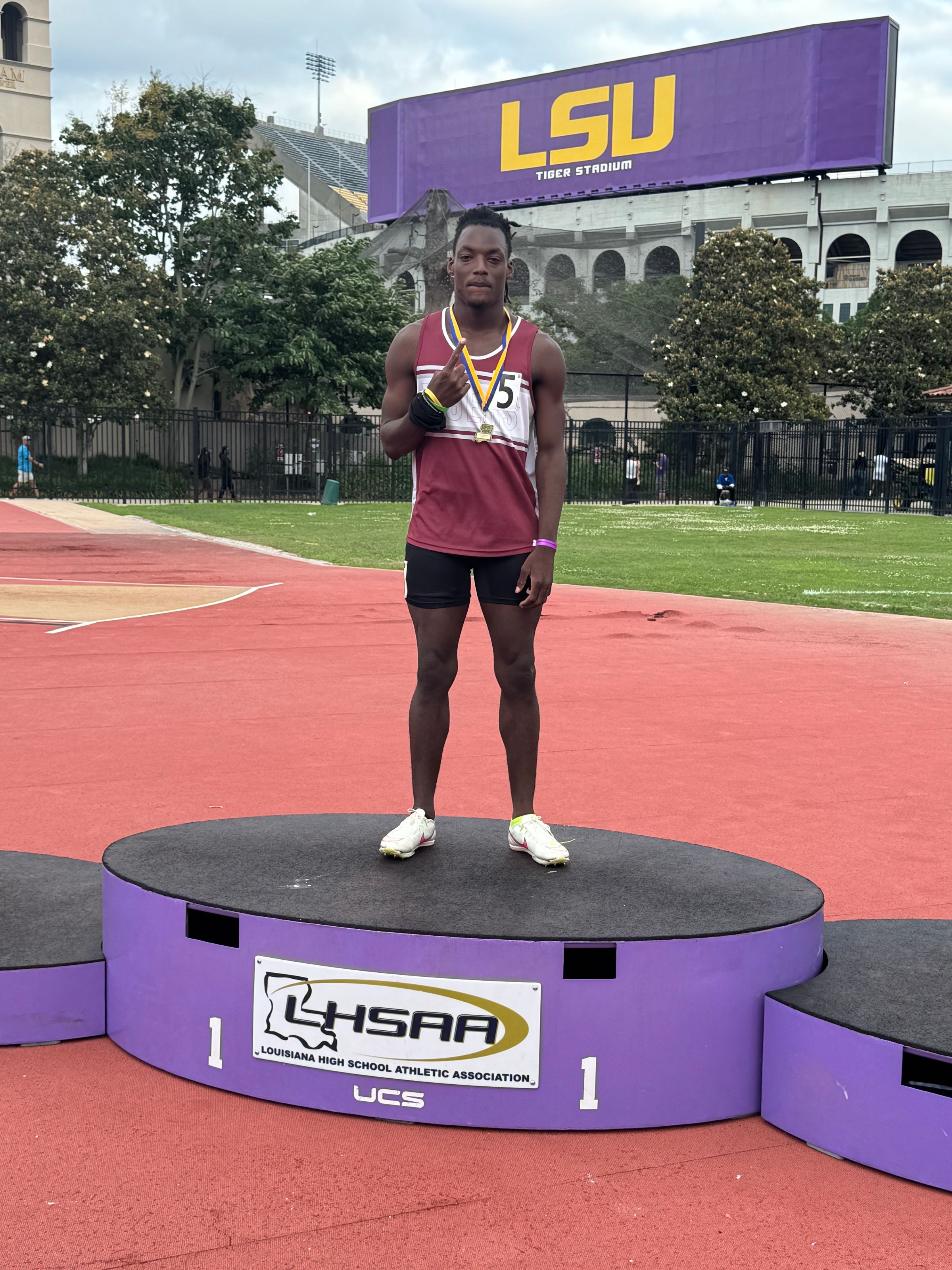 Louisiana Tigers's image