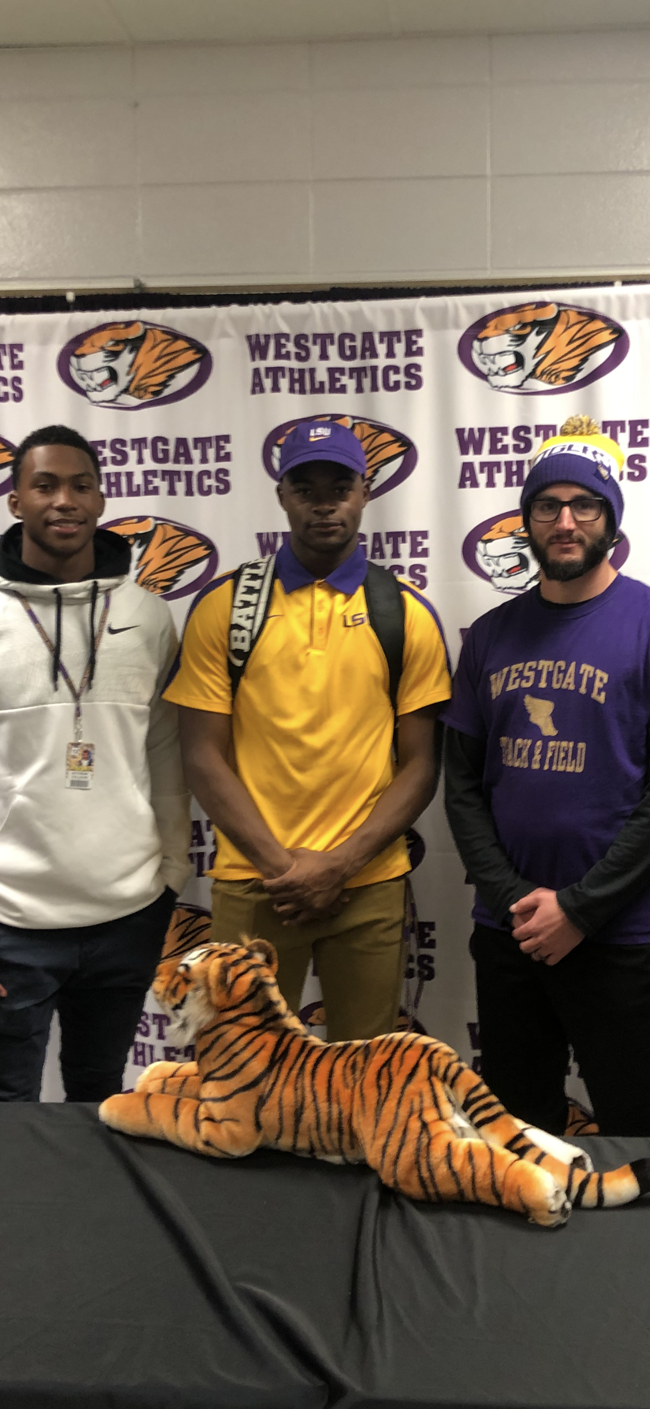 Louisiana Tigers's image