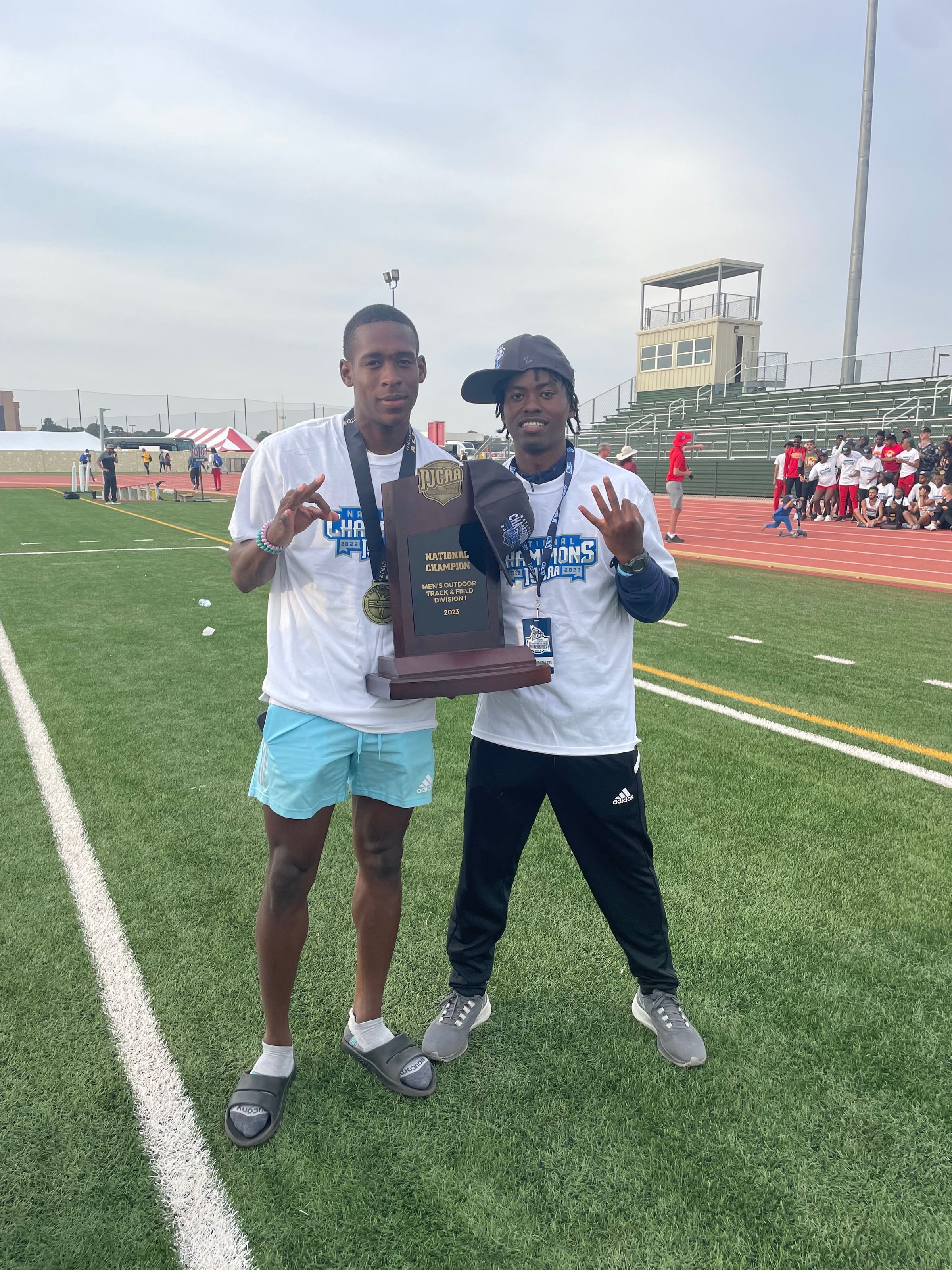 Louisiana Tigers's image