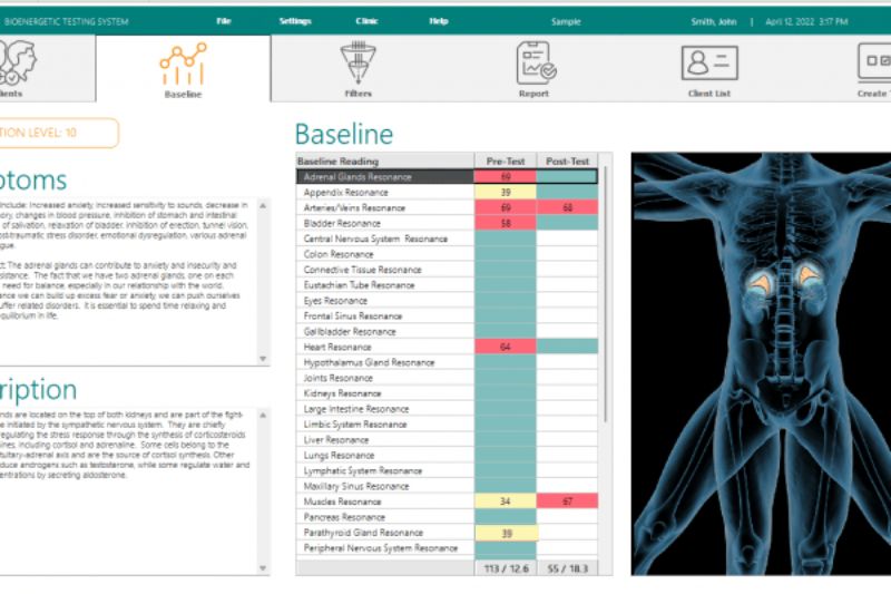 Best Life Wellness's image