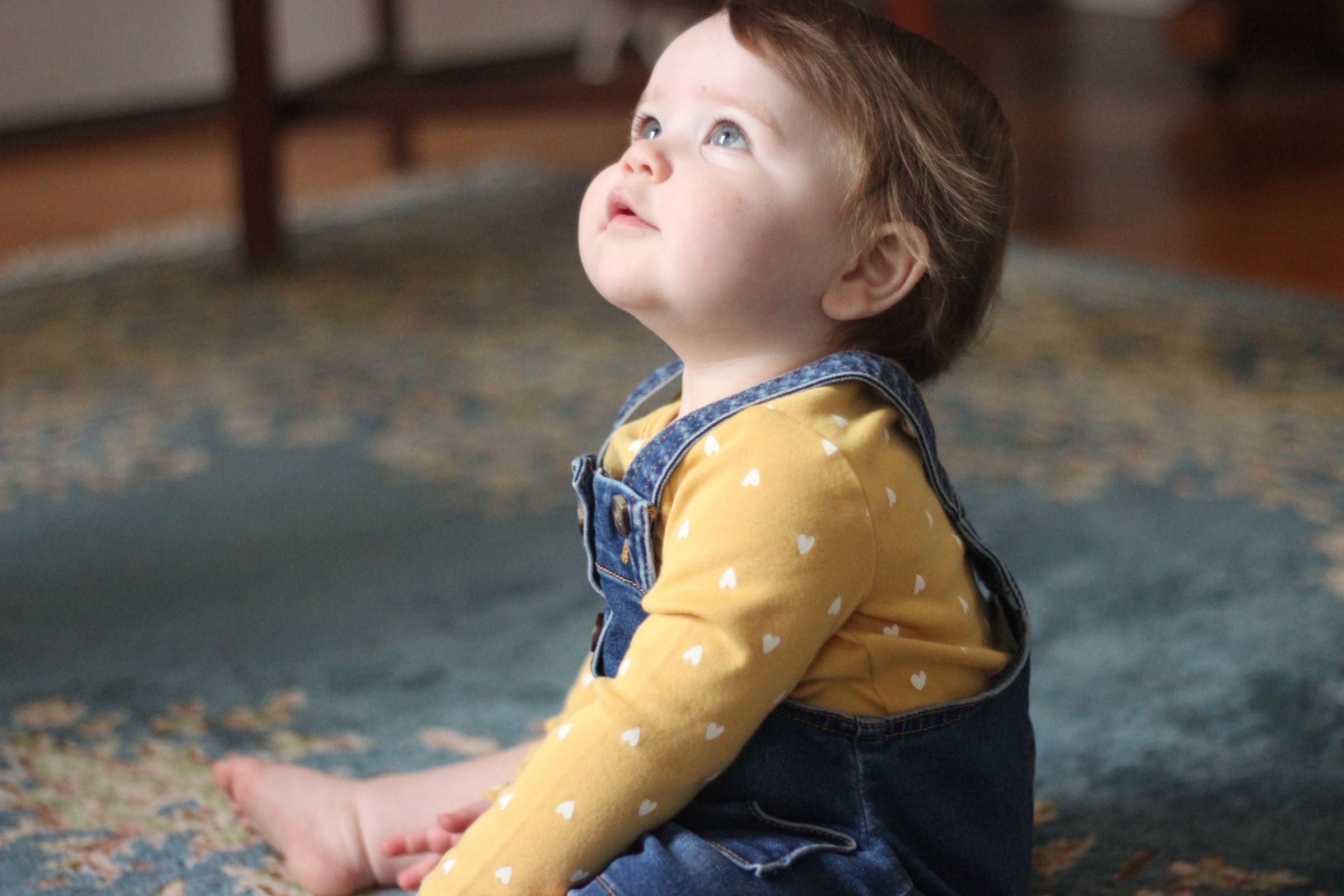 Golden Iris Photography's image