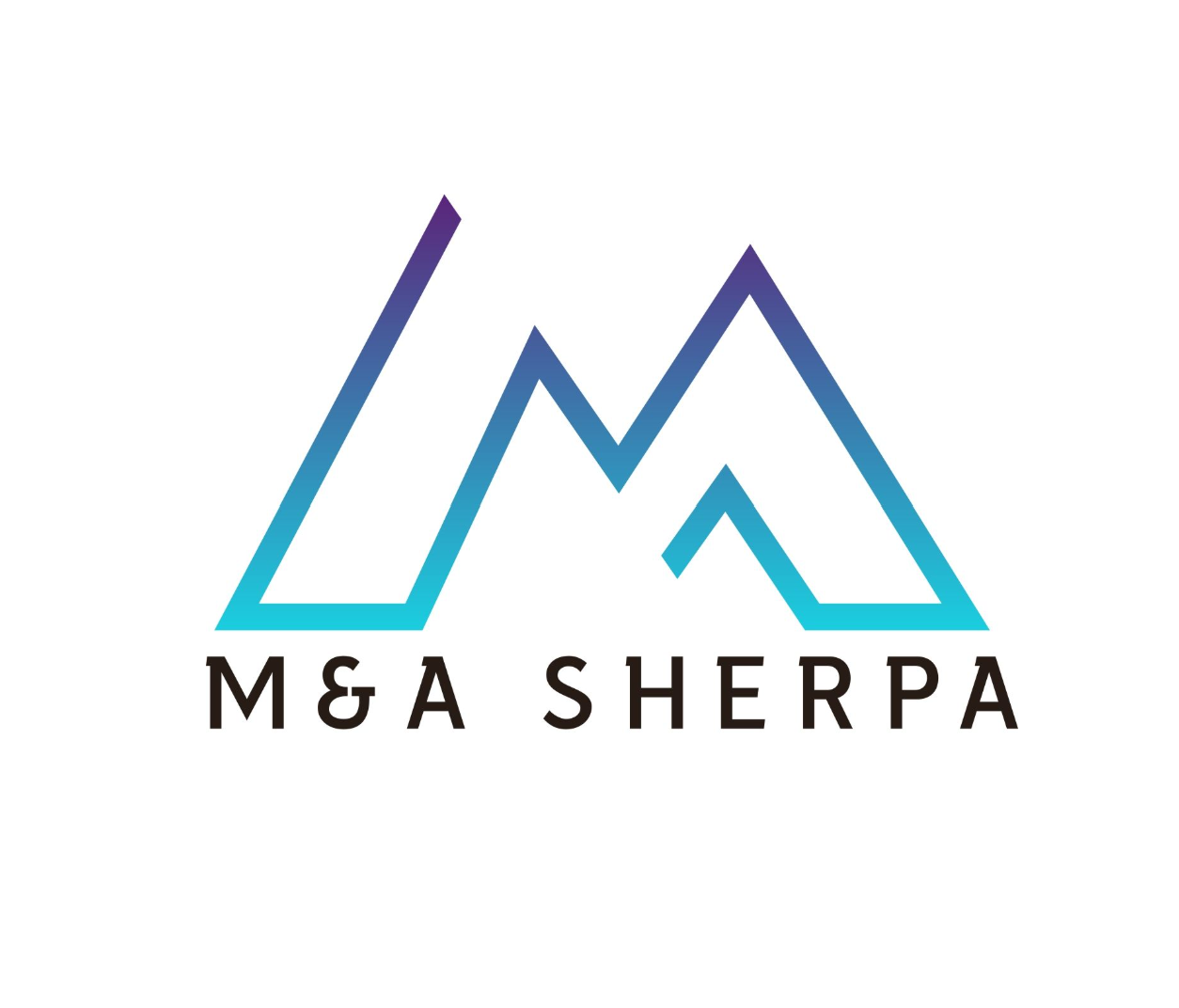 m&a sherpa's image
