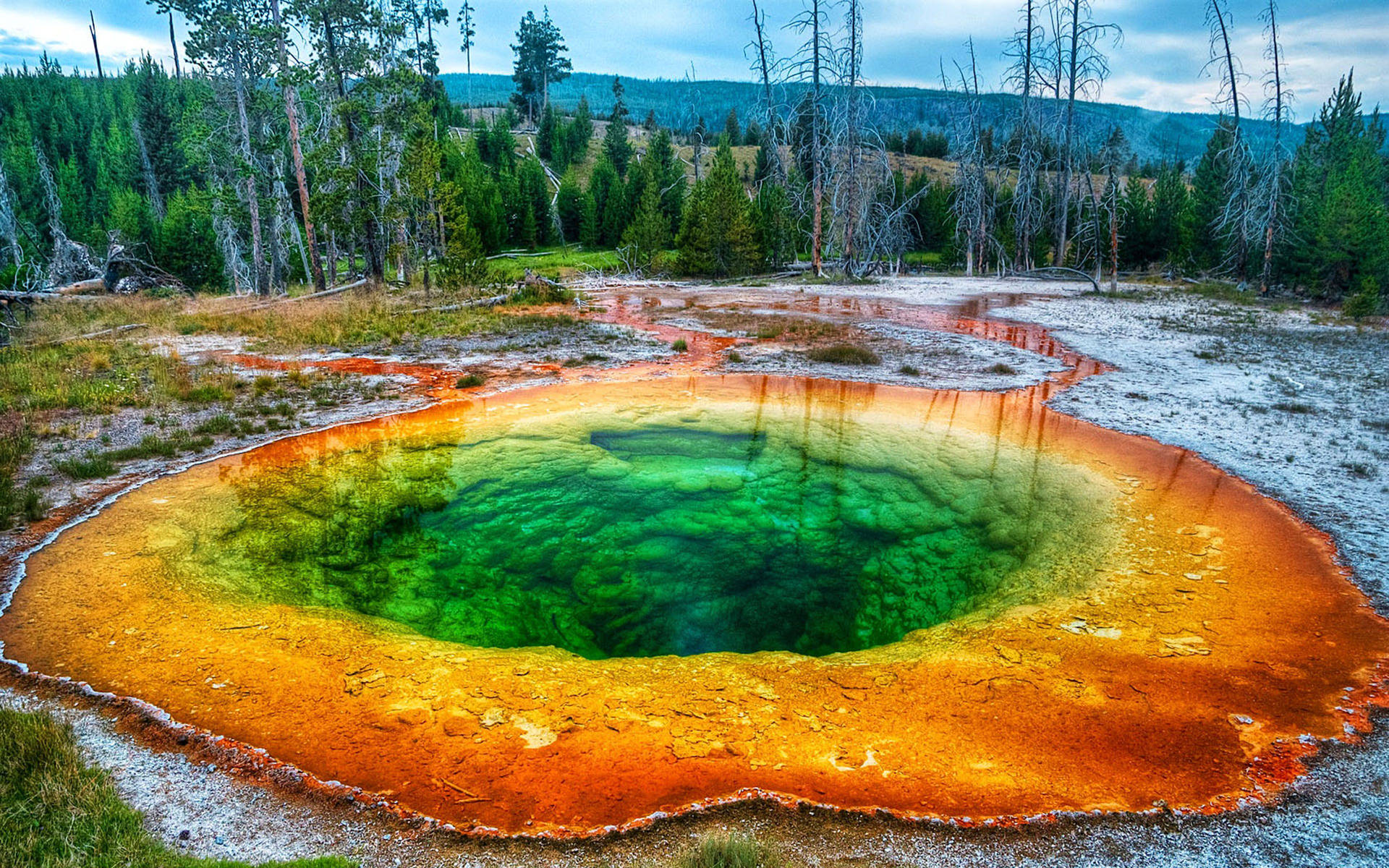 Morning Glory Pool, Yellowstone National Park, Wyoming