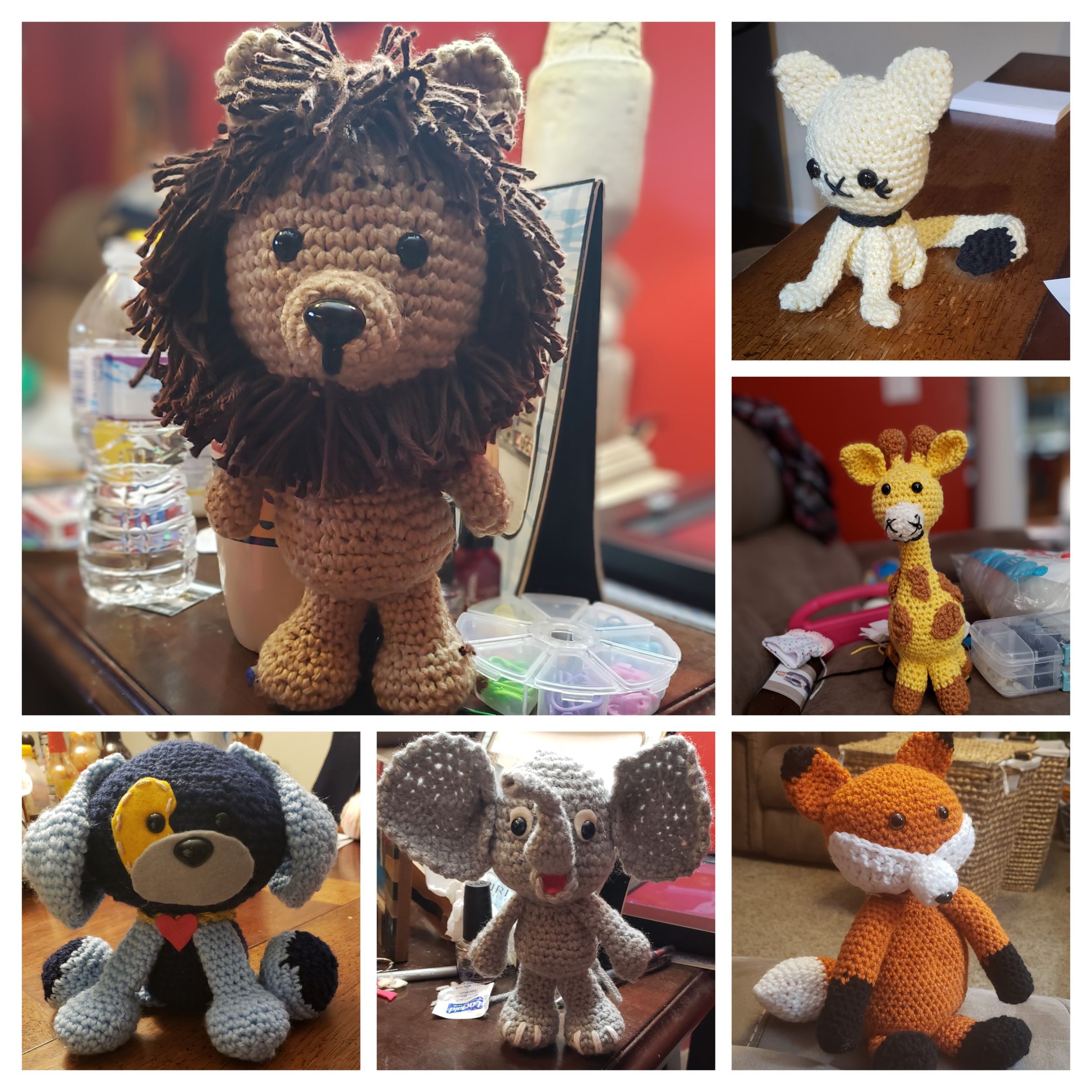 Animals