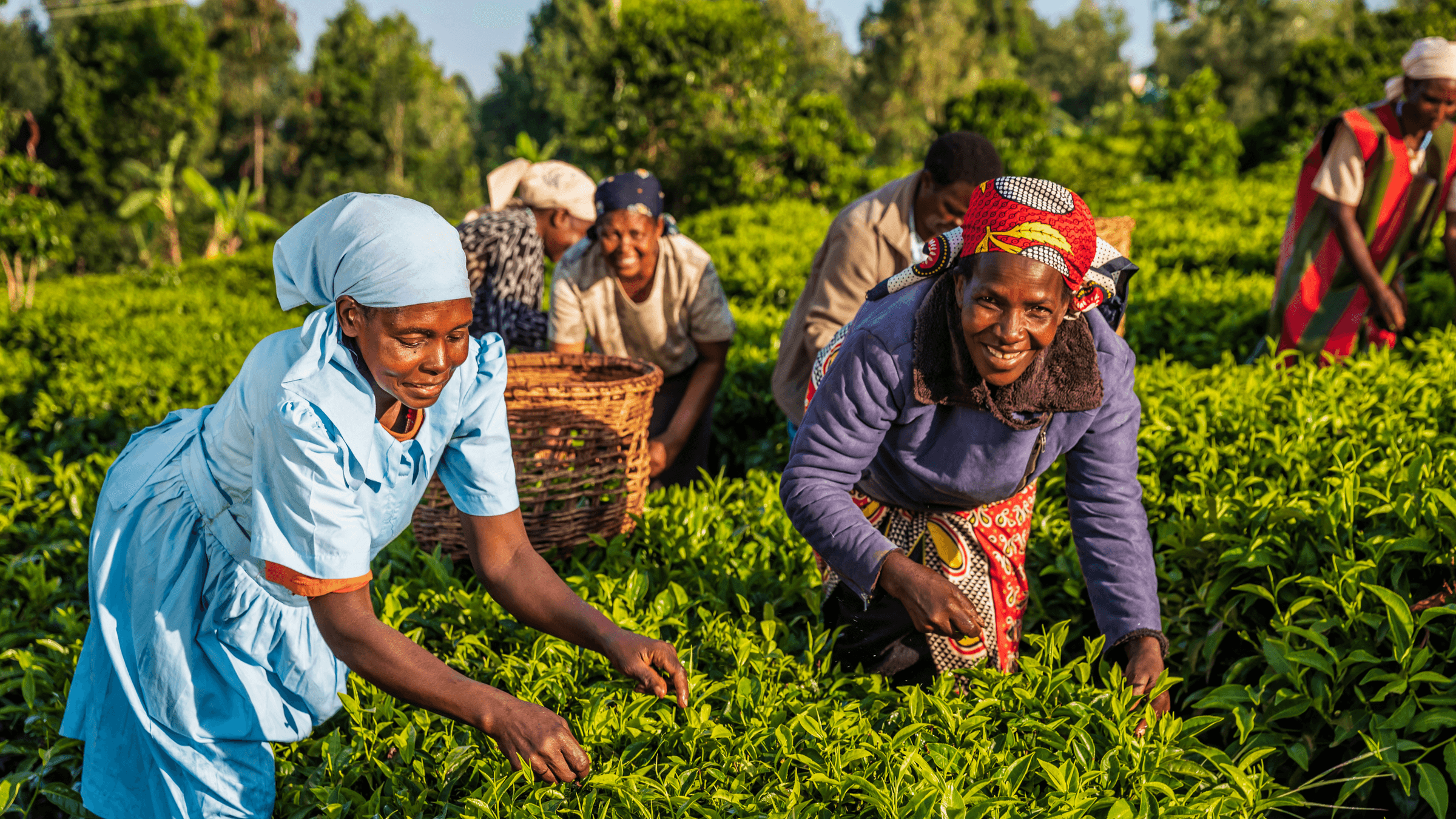 POWER Group Social Company's image