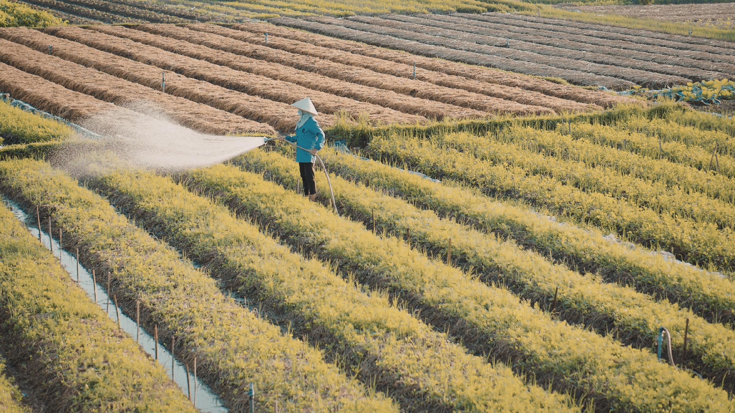 POWER Group Social Company's image