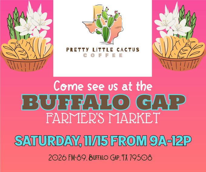 Pretty Little Cactus's image