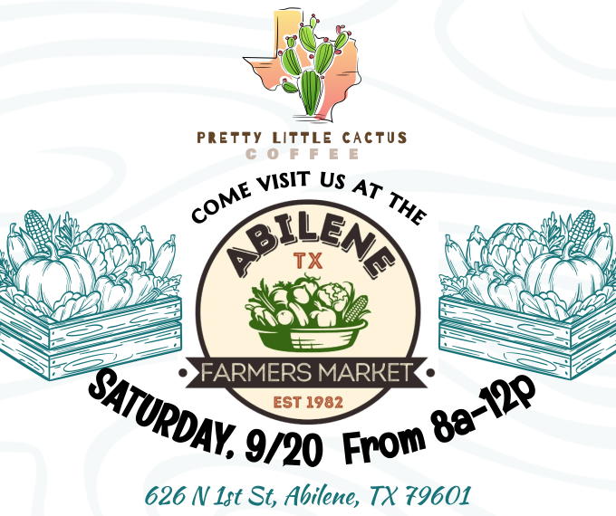 Pretty Little Cactus's image