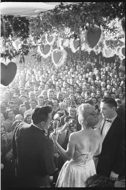 Red State Reports 's image