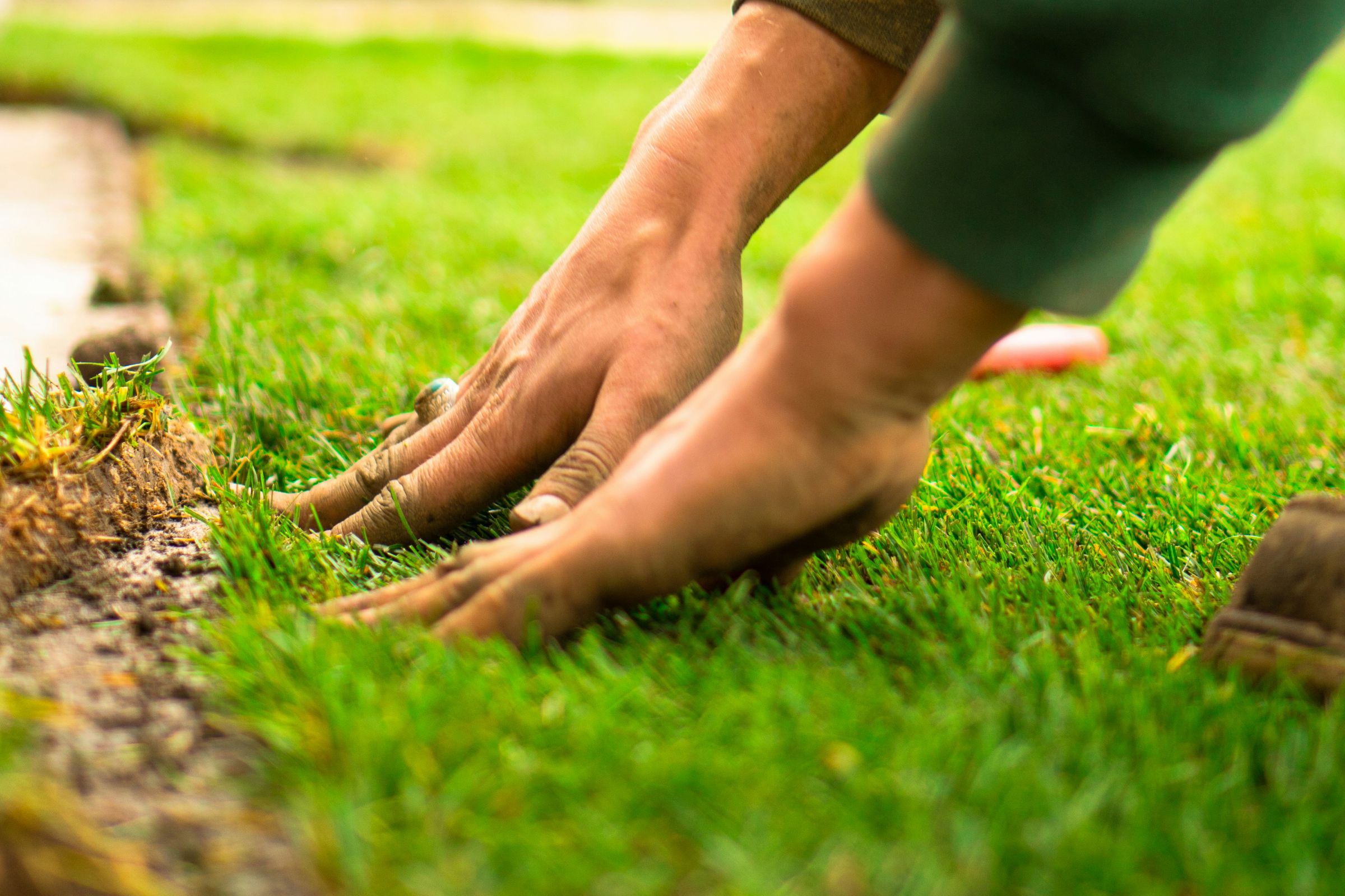 macedon ranges turf and landscaping's image