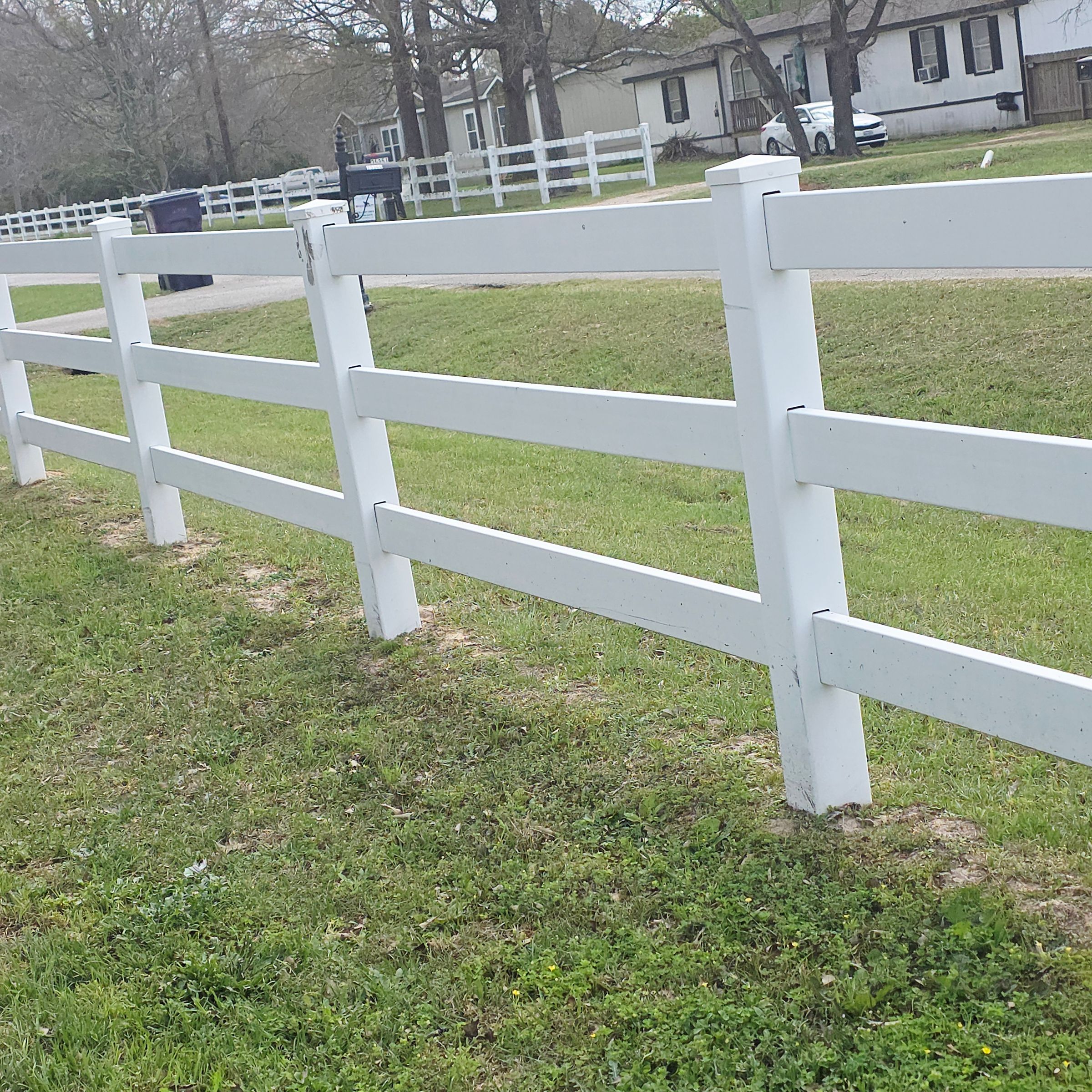 Fence cleaning (after)