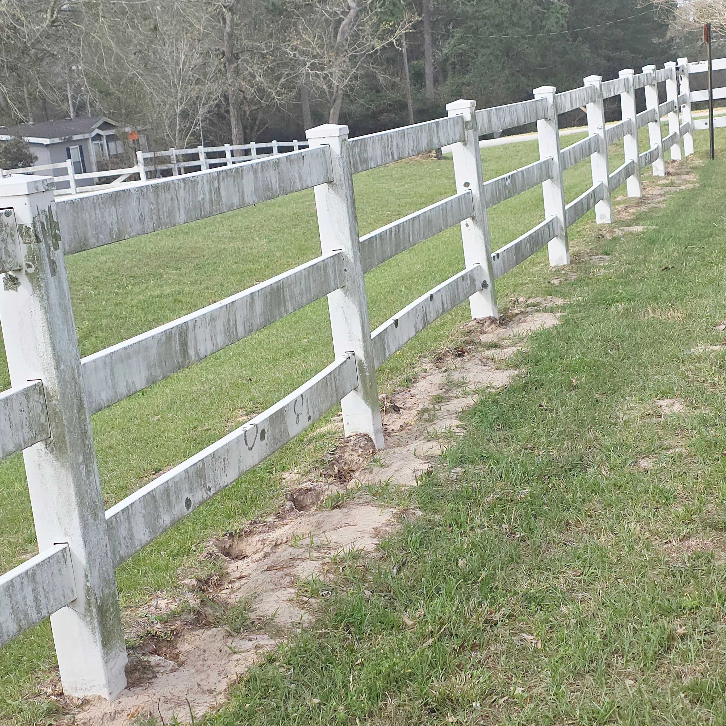 Fence cleaning (before)