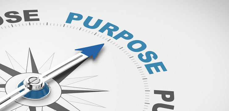Living with Vision Purpose & Hope's image