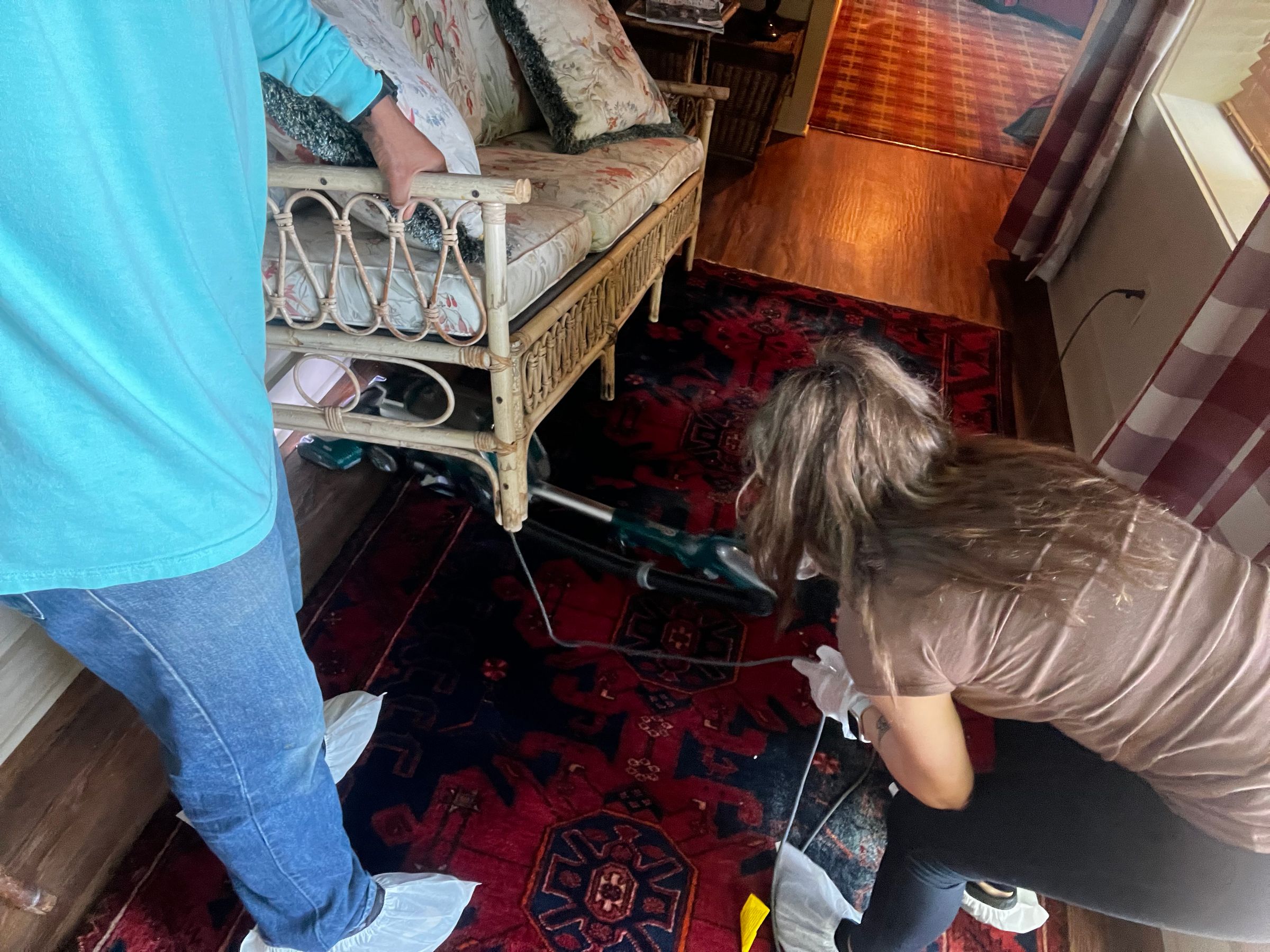 Violet and Rose Housekeeping Services's image