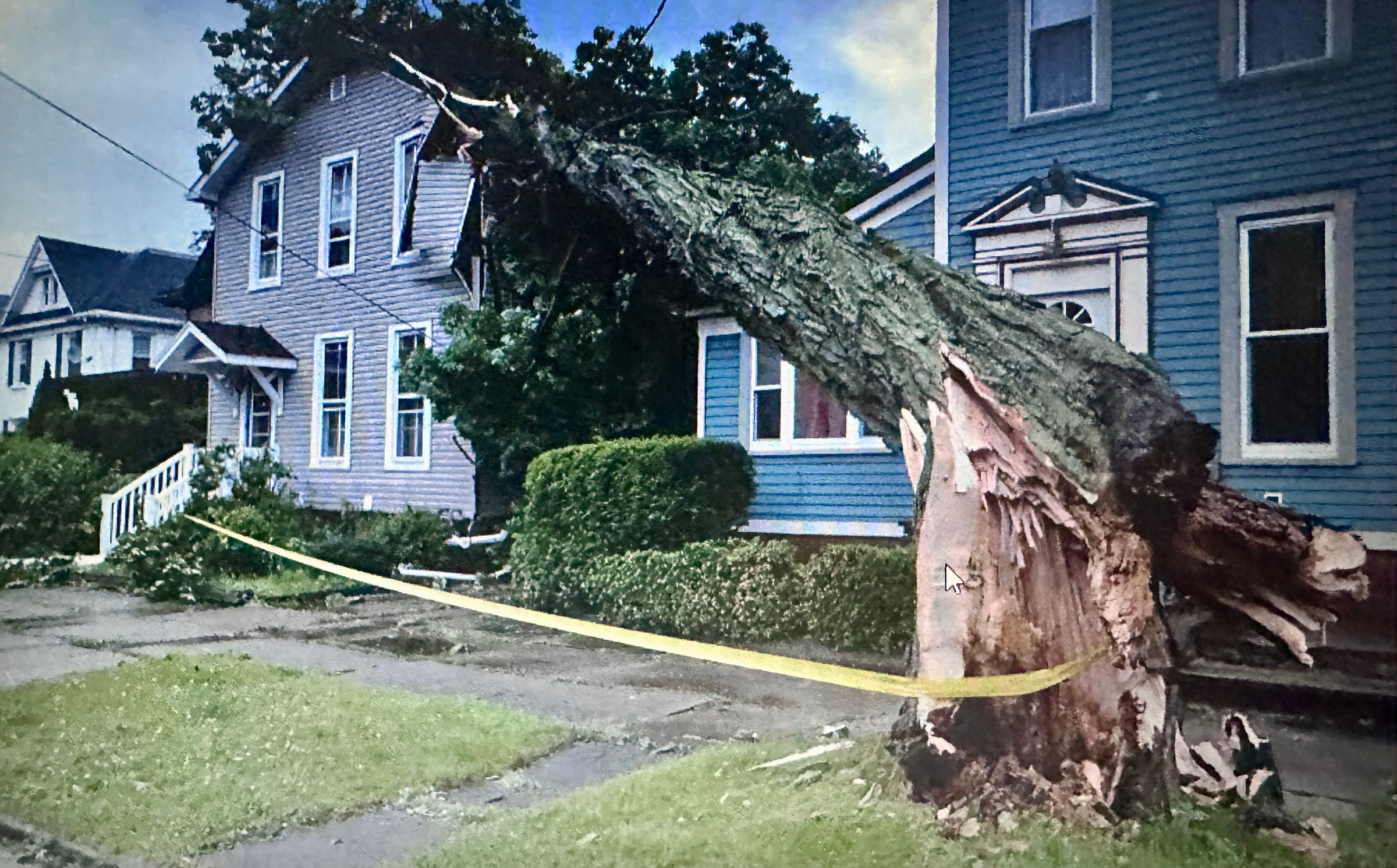 (Expert care at affordable prices) "4 Seasons Tree Service" 's image