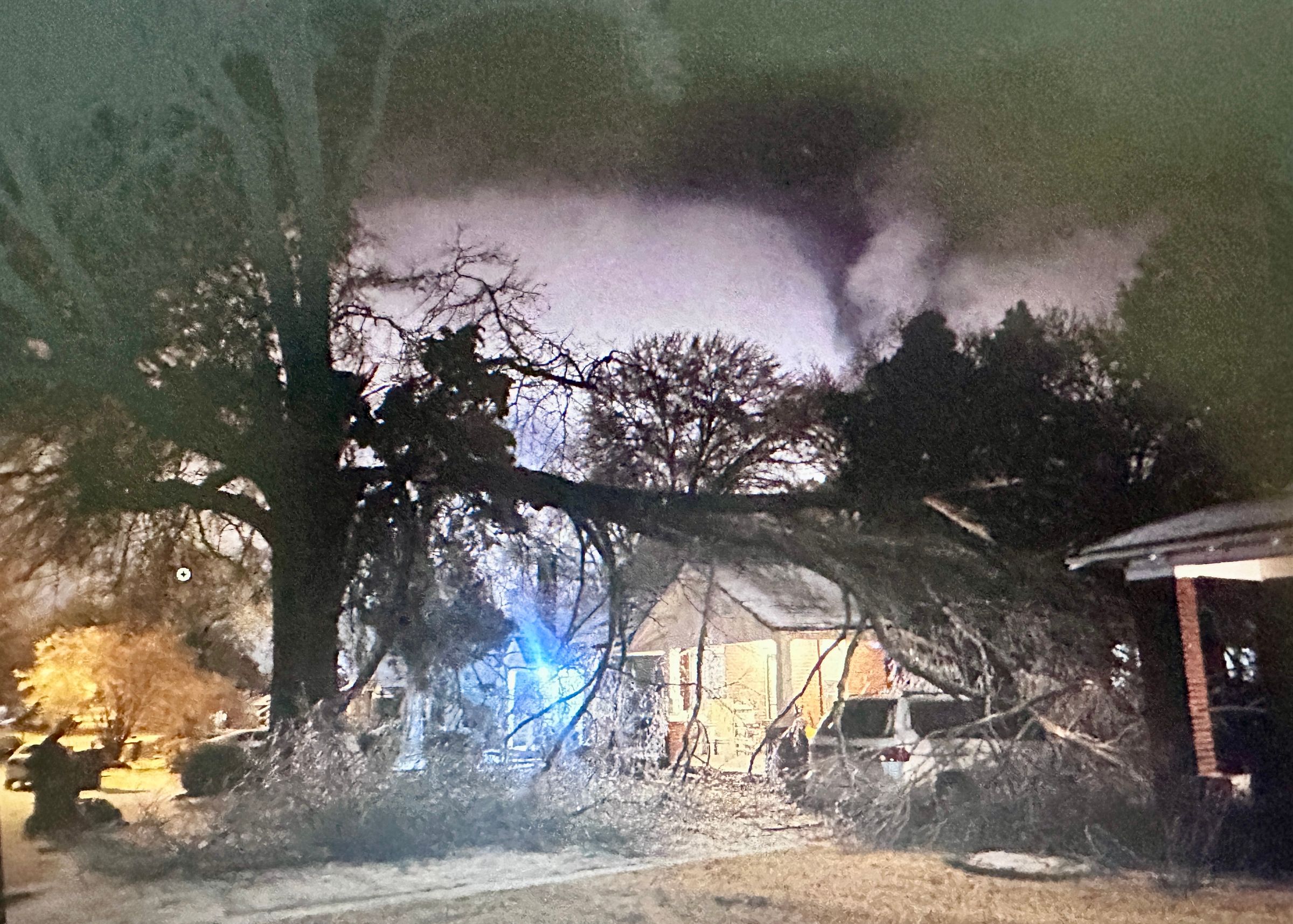 (Expert care at affordable prices) "4 Seasons Tree Service" 's image