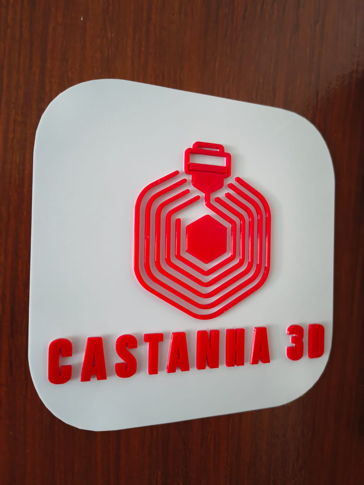 Castanha 3D - Especialista em impressão 3D's image