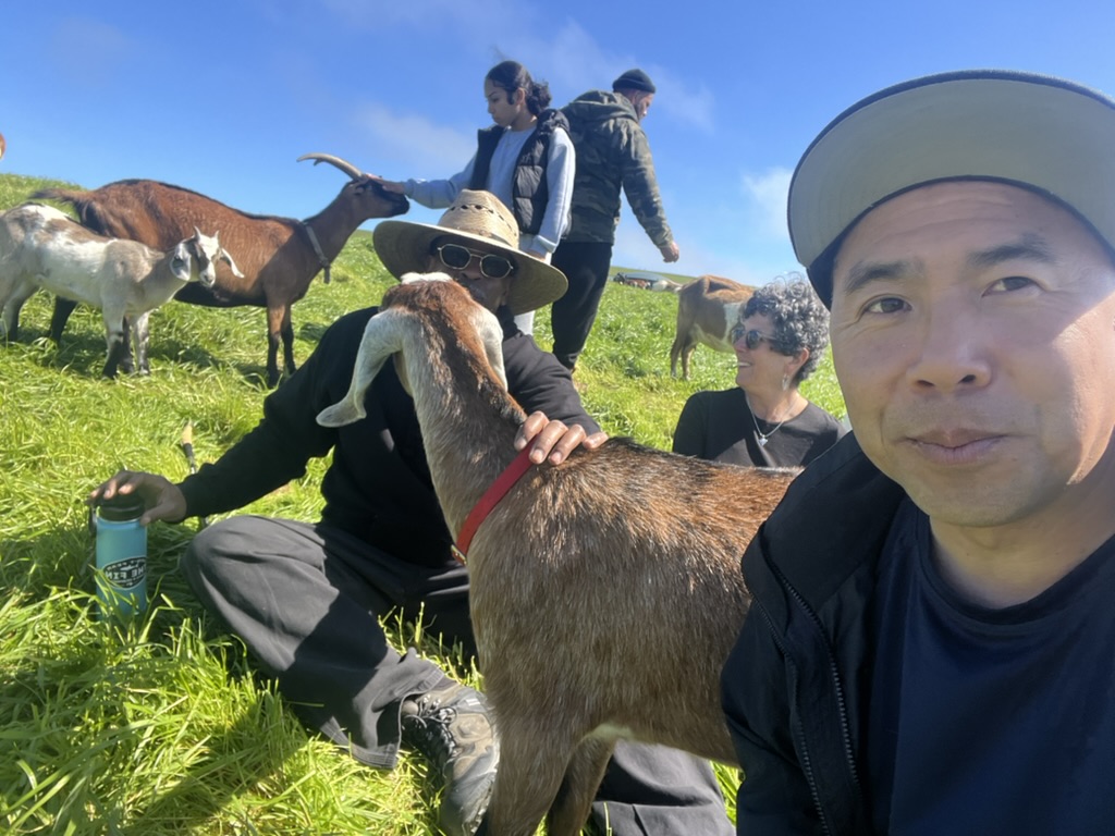 Roya Wellness 's image