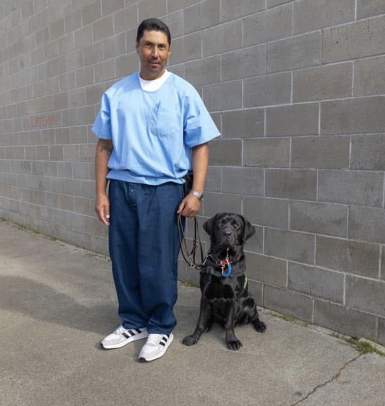 Roya Wellness 's image