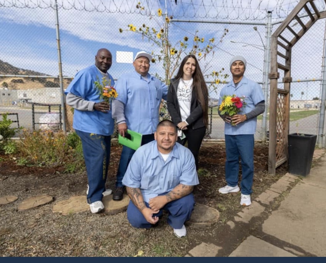 Roya Wellness 's image