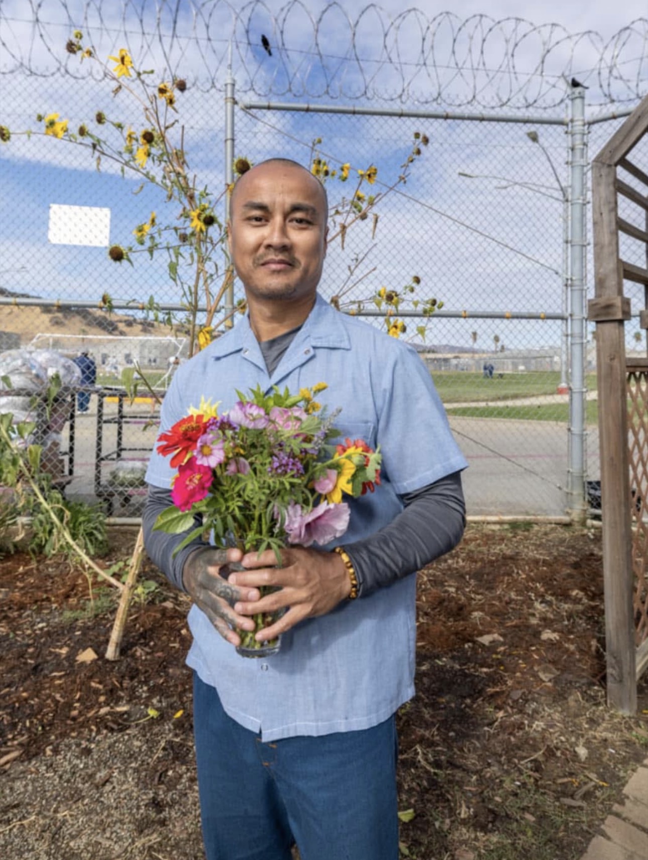 Roya Wellness 's image