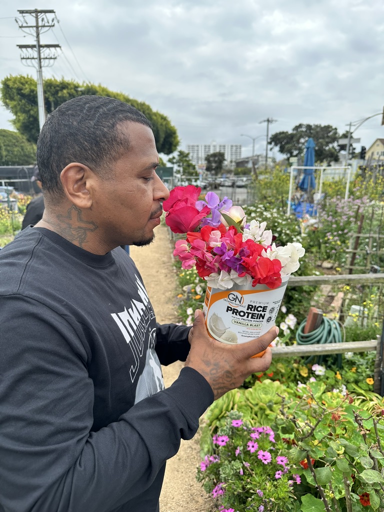 Roya Wellness 's image