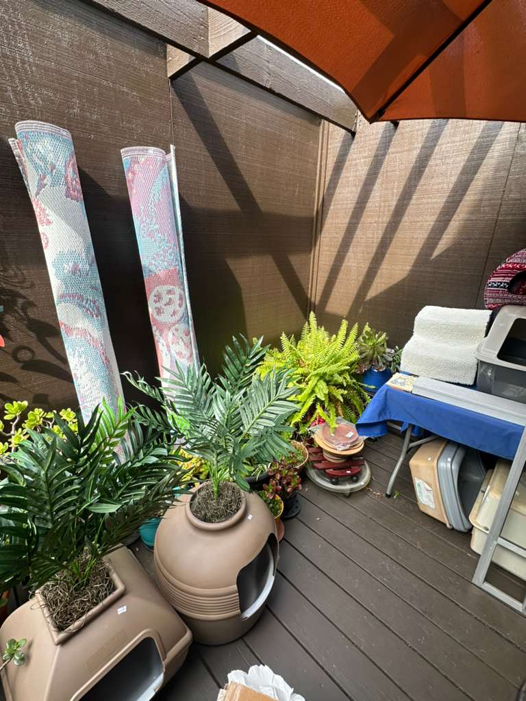 True Heritage Estate Sales's image